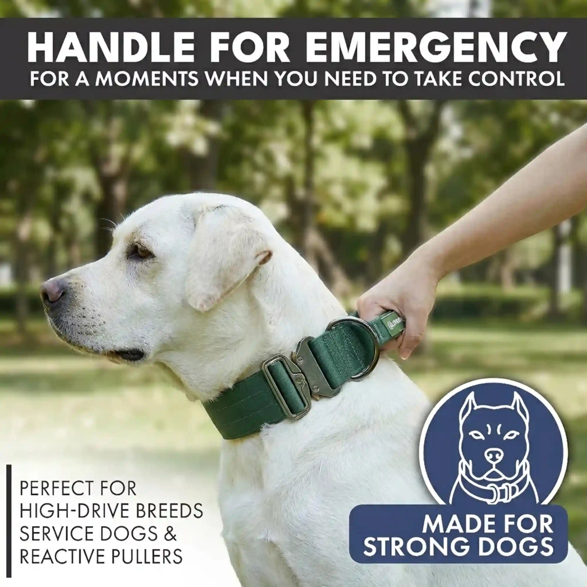 sparkpawsmaut.com