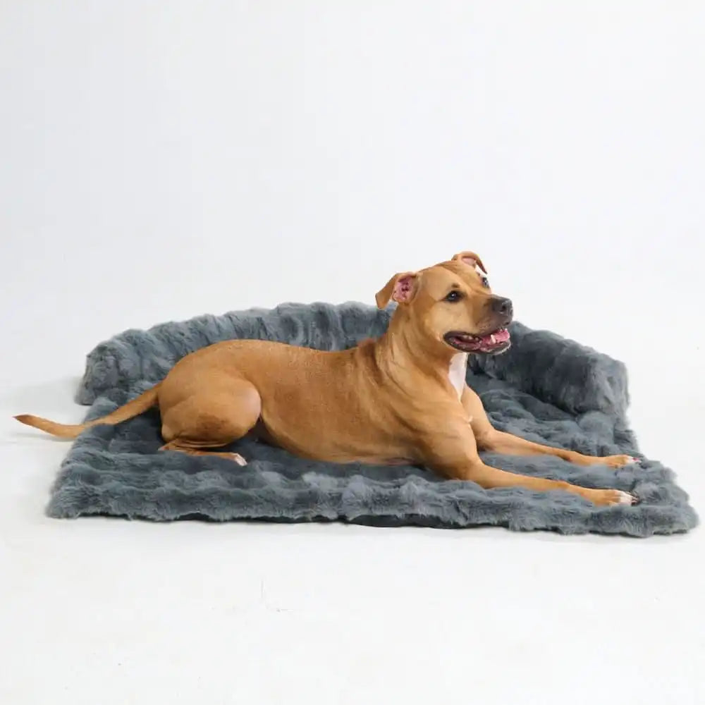 sparkpawsmaut.com