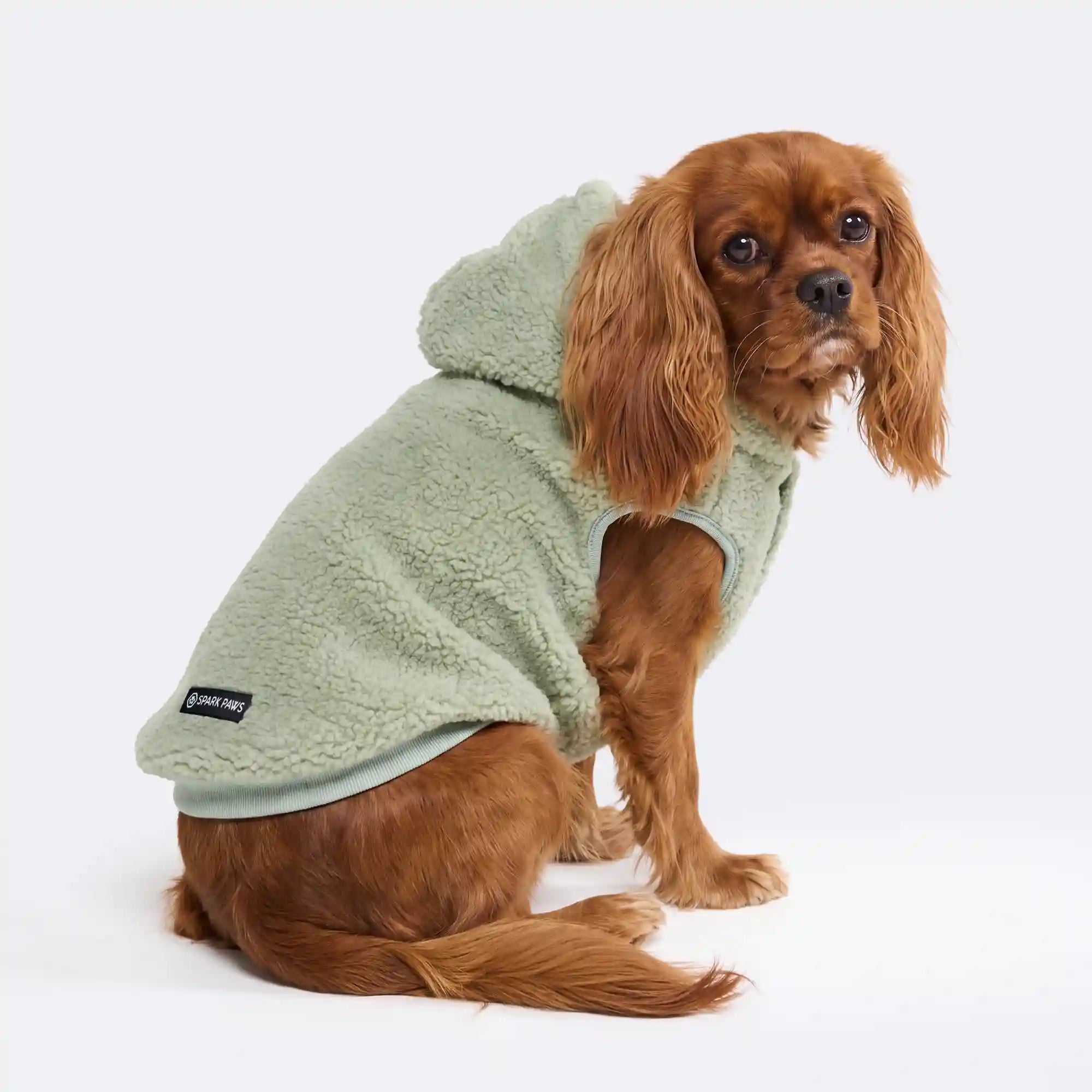 sparkpawsmaut.com