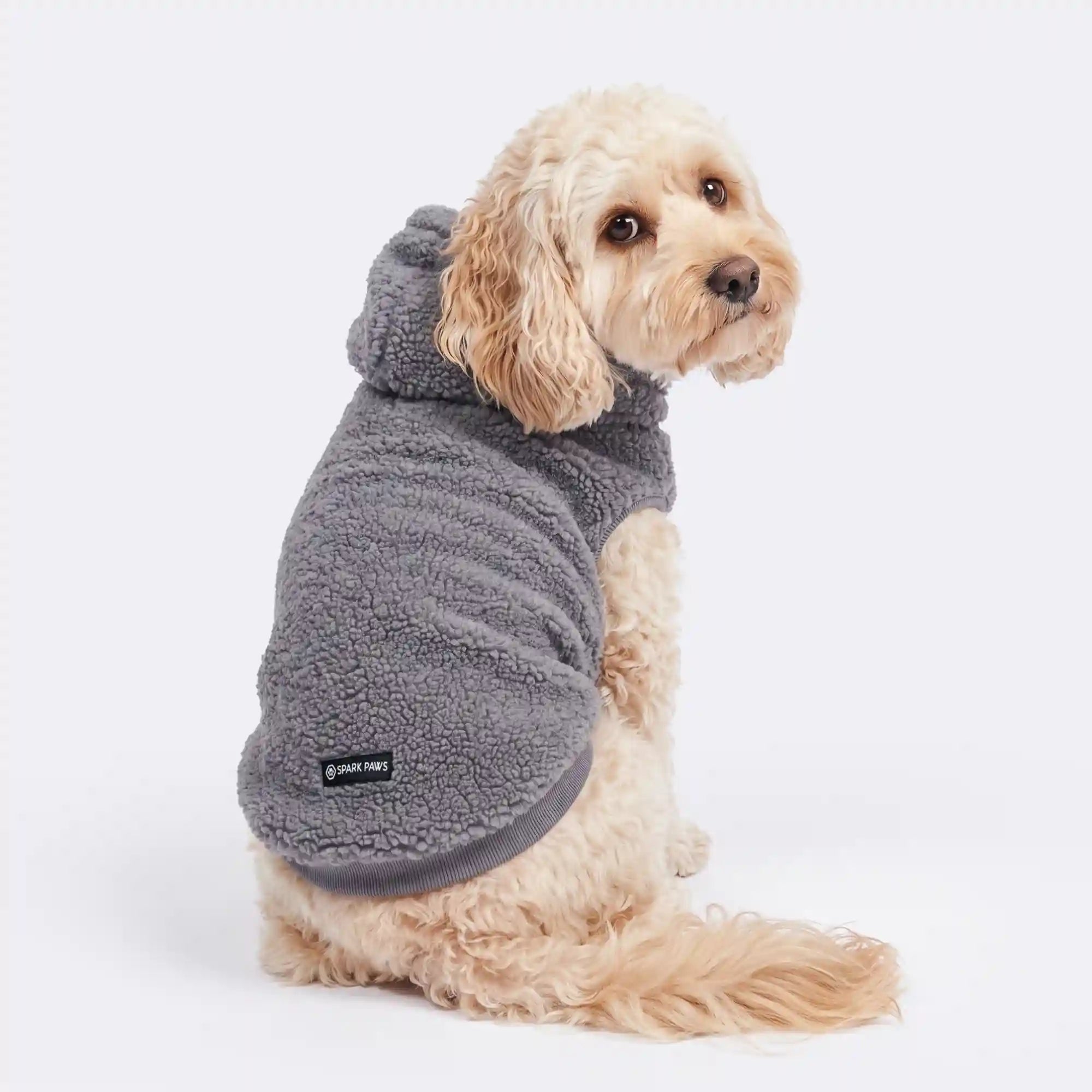 sparkpawsmaut.com