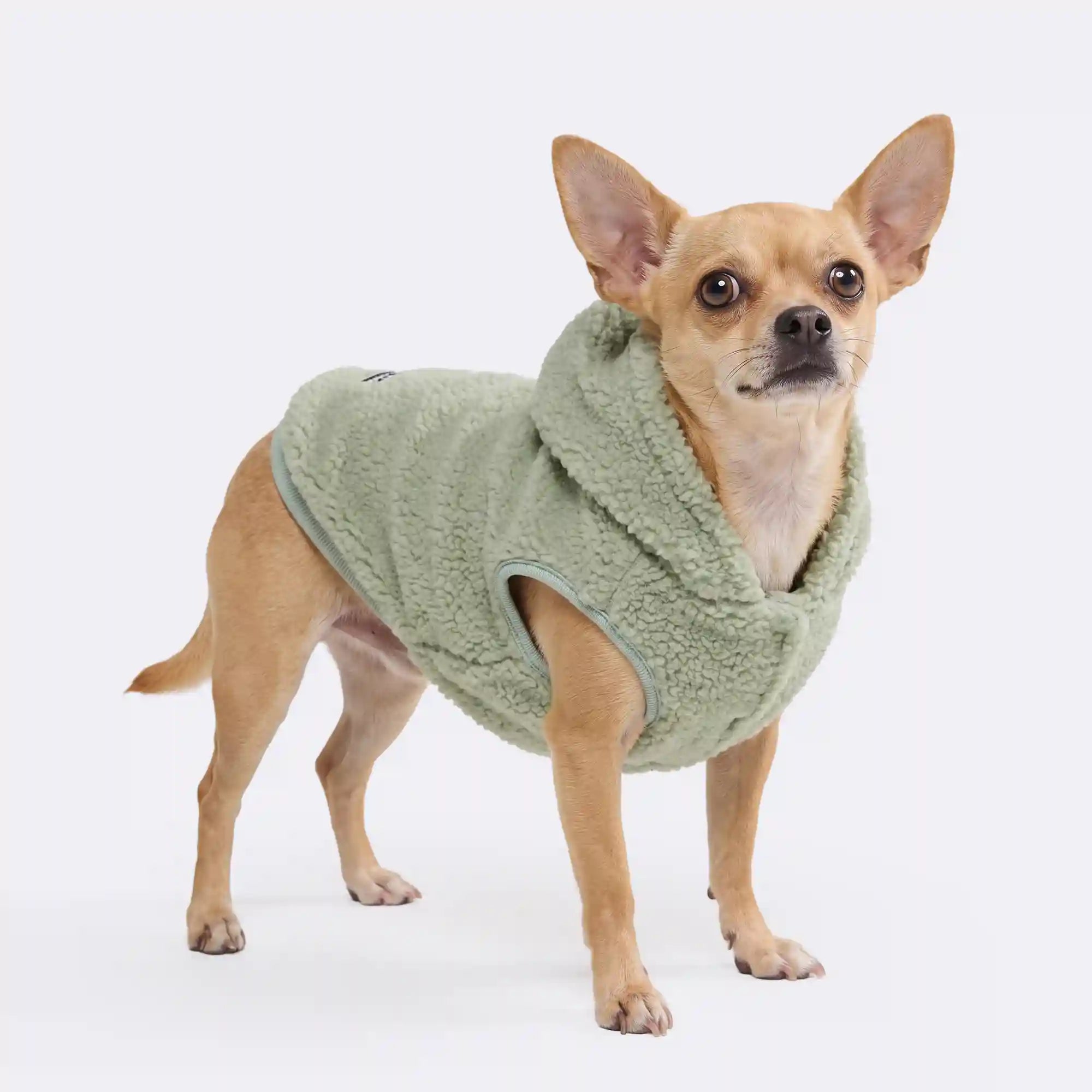 sparkpawsmaut.com
