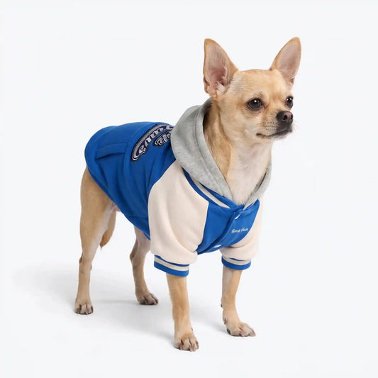 Dog Varsity Jacket - Blue