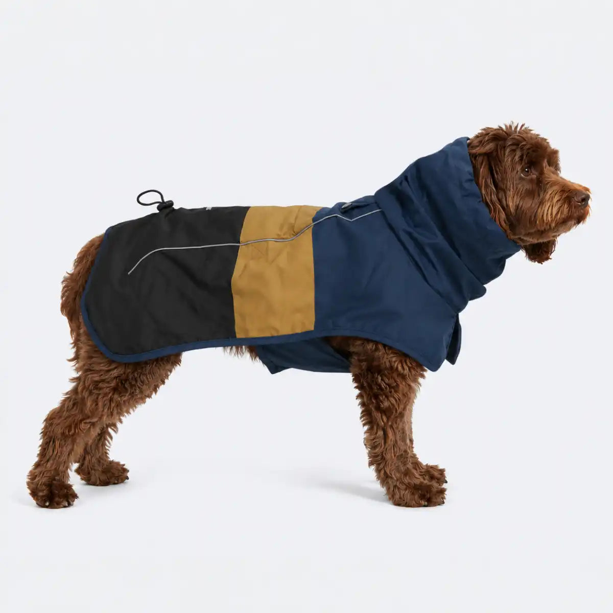 sparkpawsmaut.com