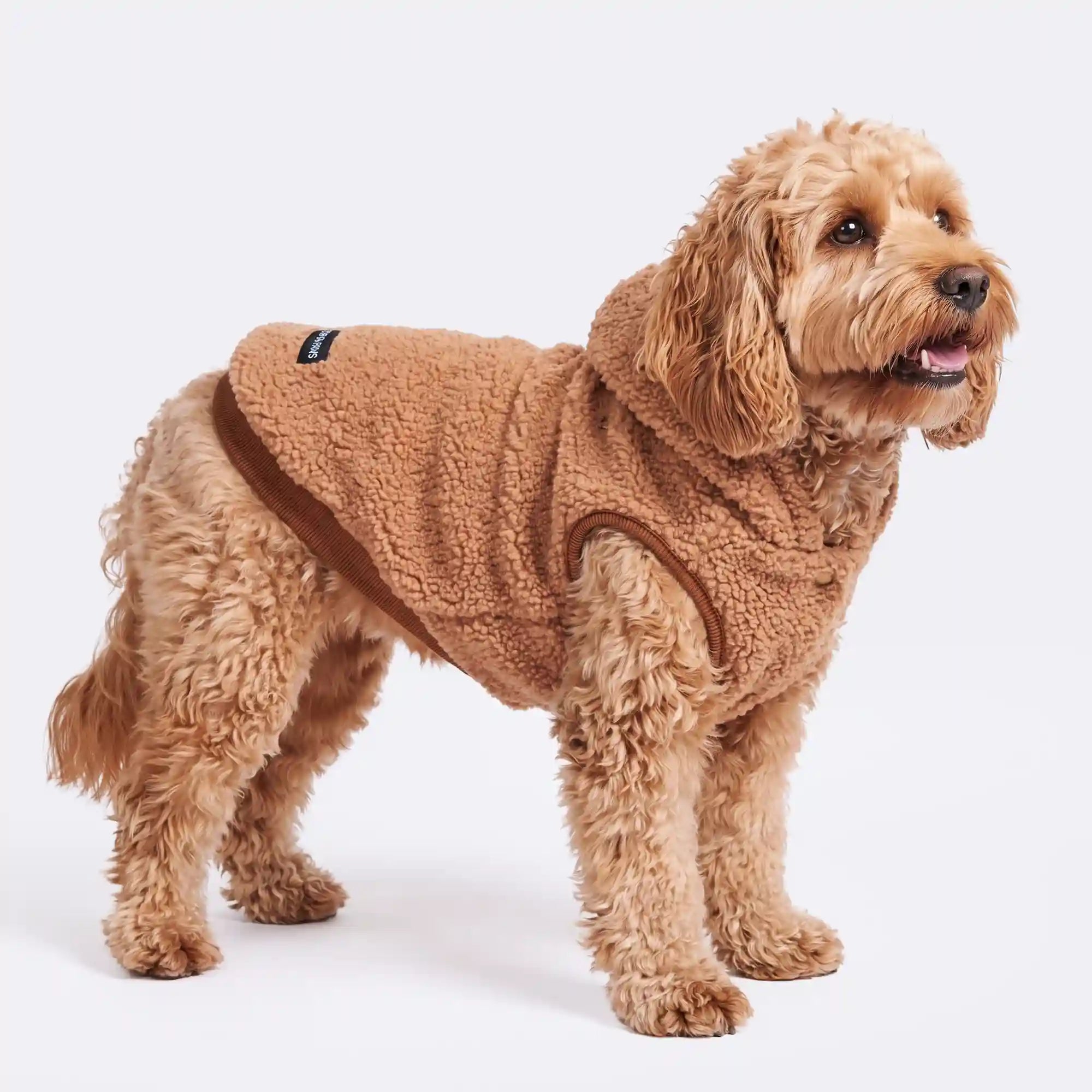 sparkpawsmaut.com