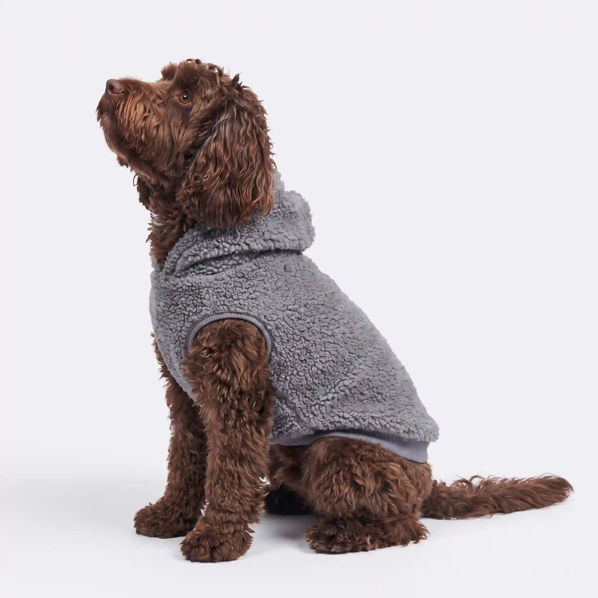 sparkpawsmaut.com