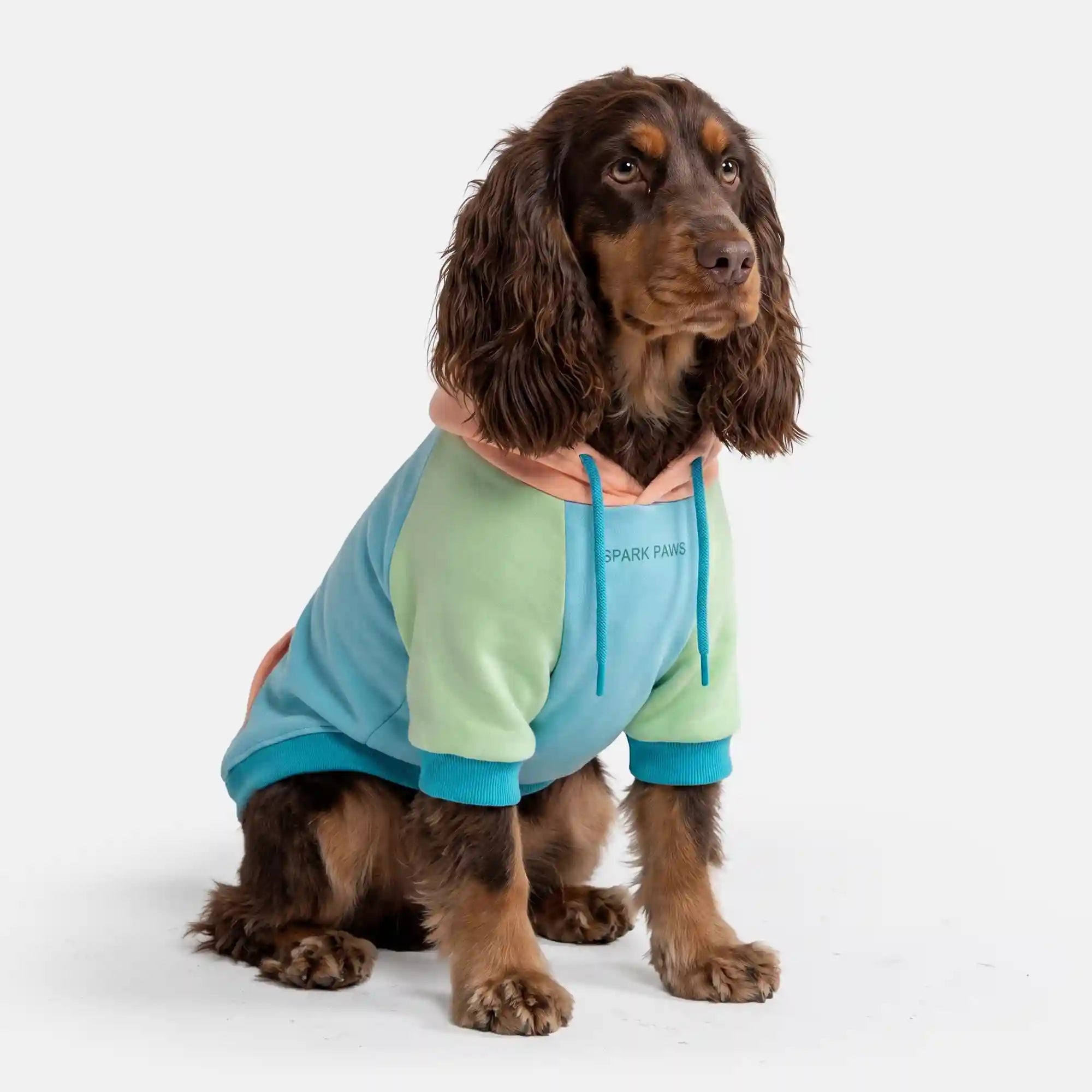 sparkpawsmaut.com