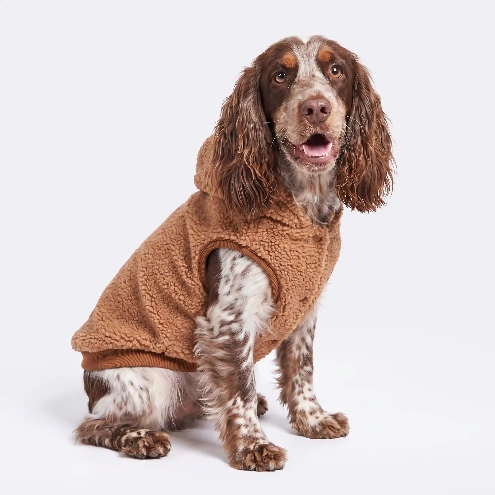 sparkpawsmaut.com