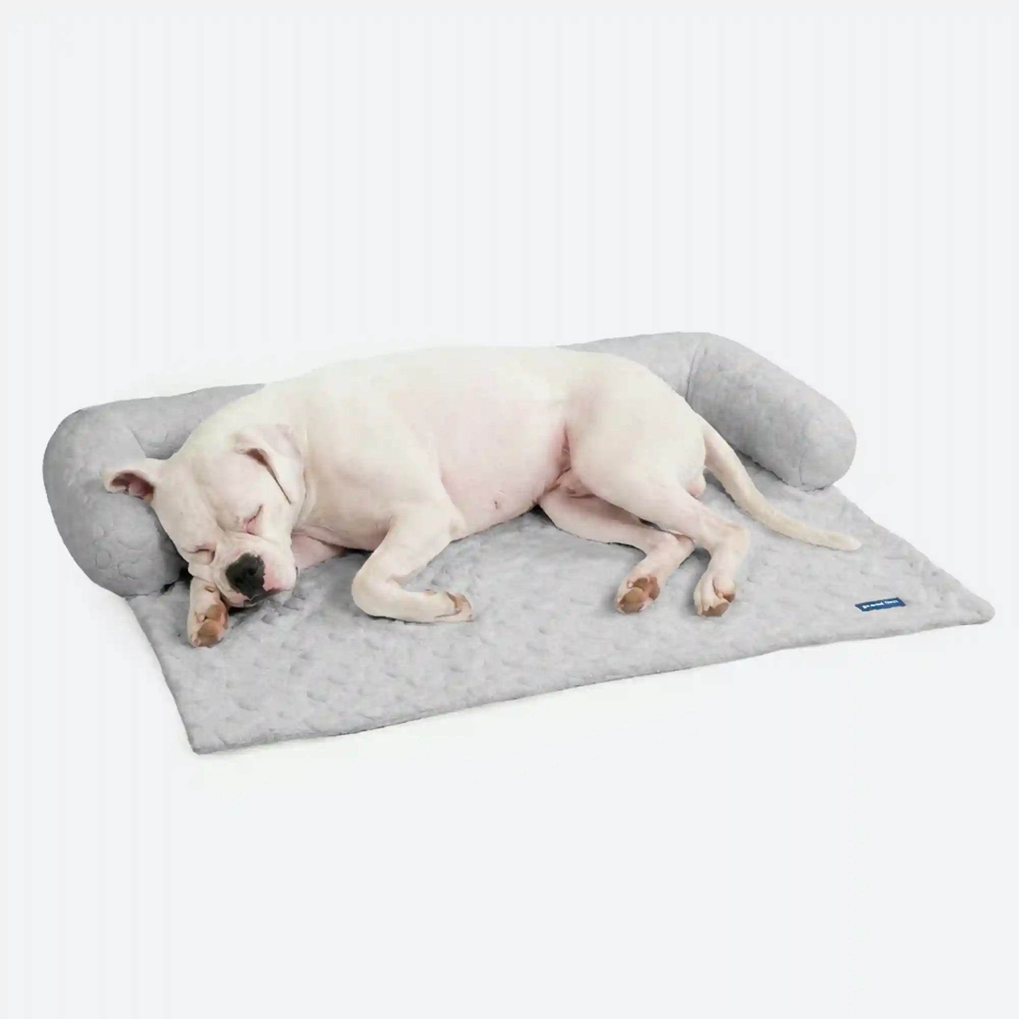 sparkpawsmaut.com