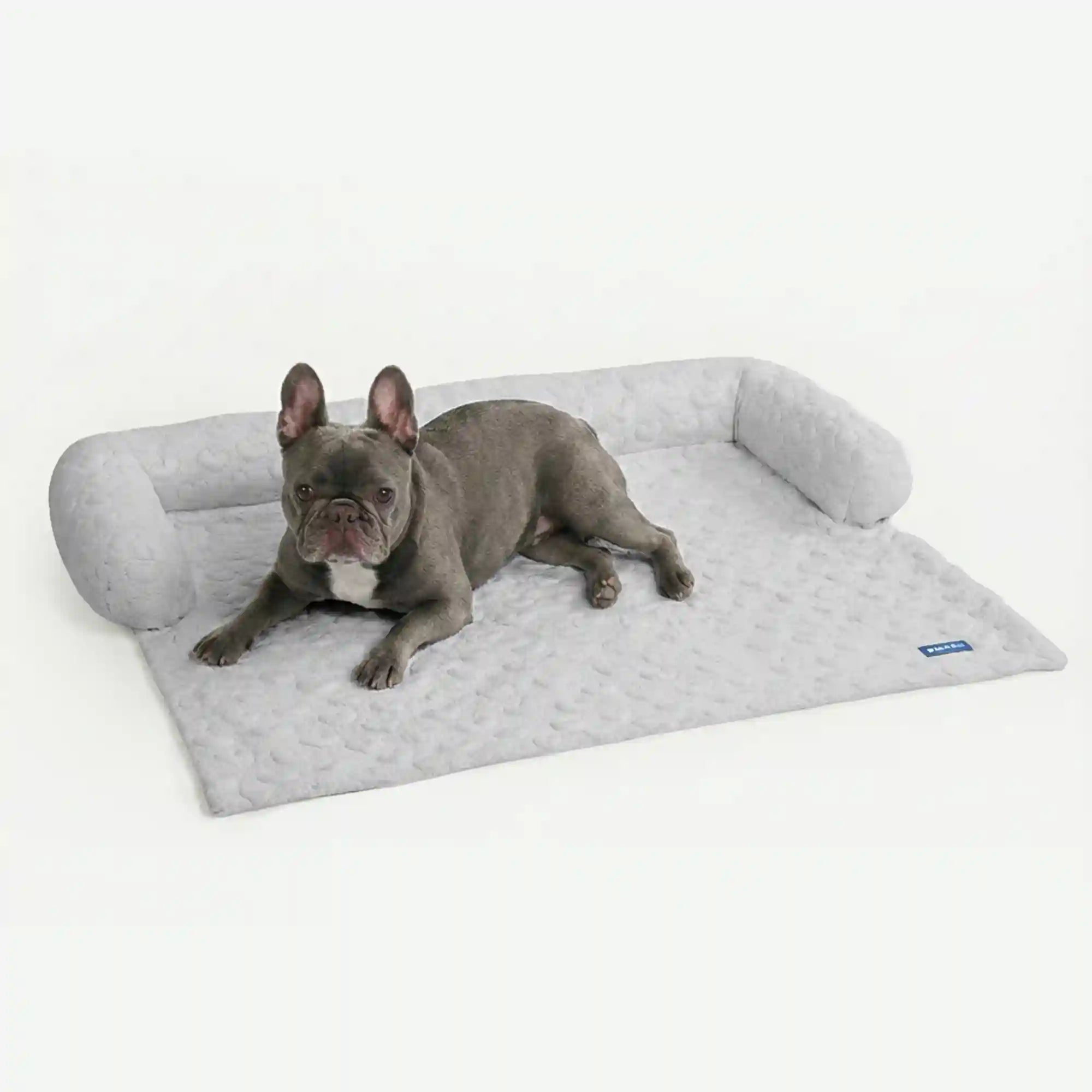 sparkpawsmaut.com
