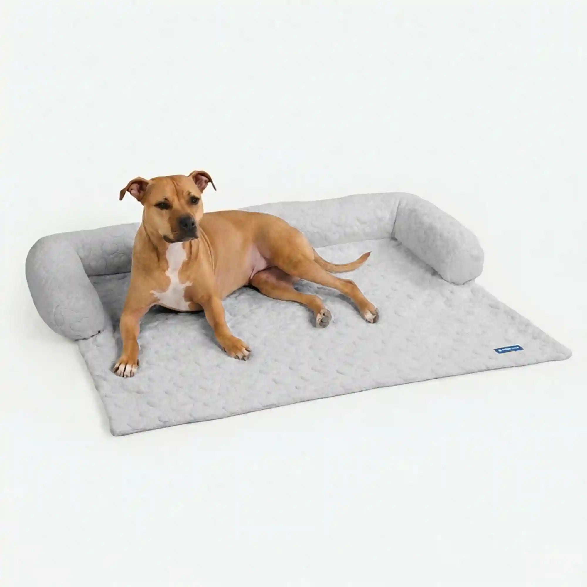 sparkpawsmaut.com