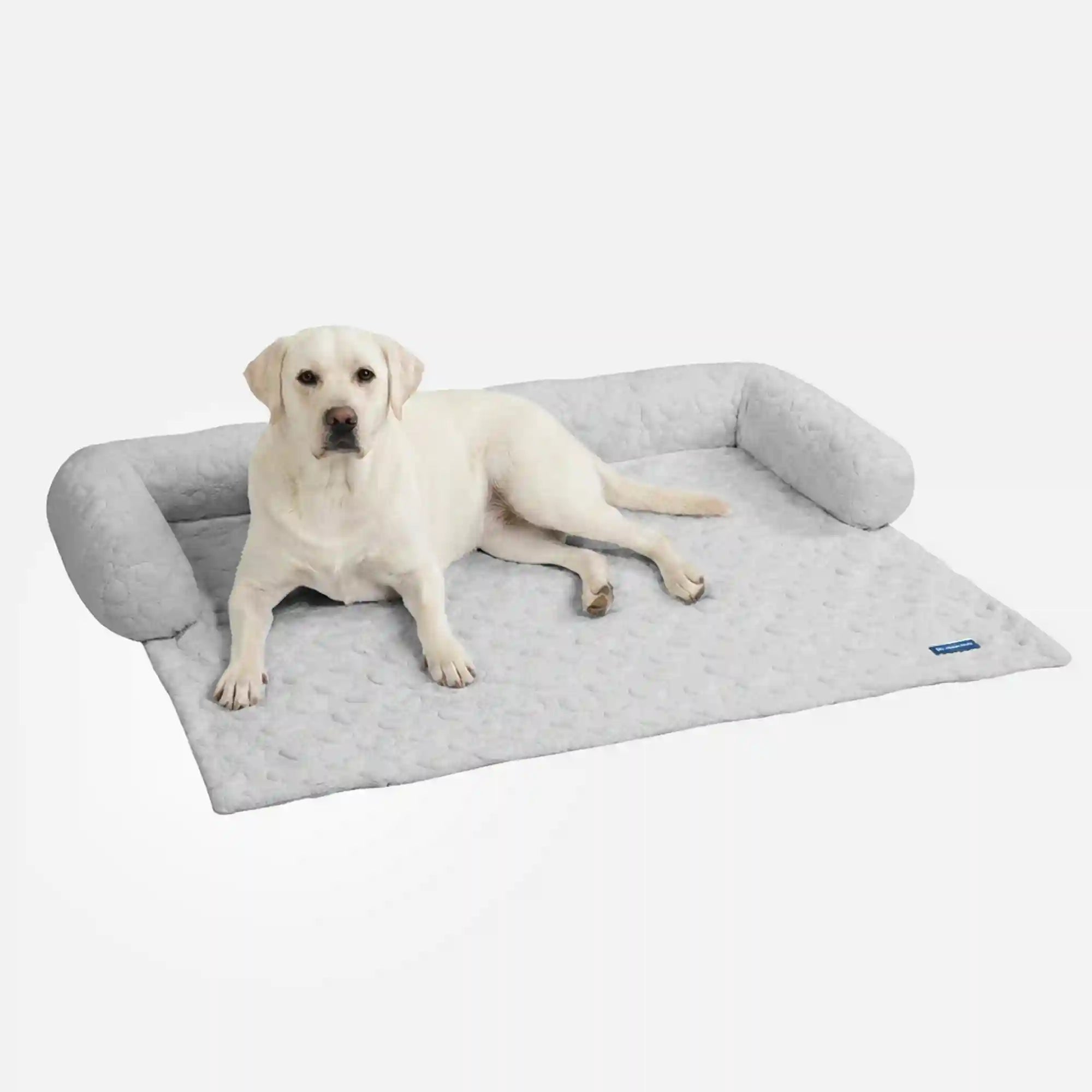 sparkpawsmaut.com