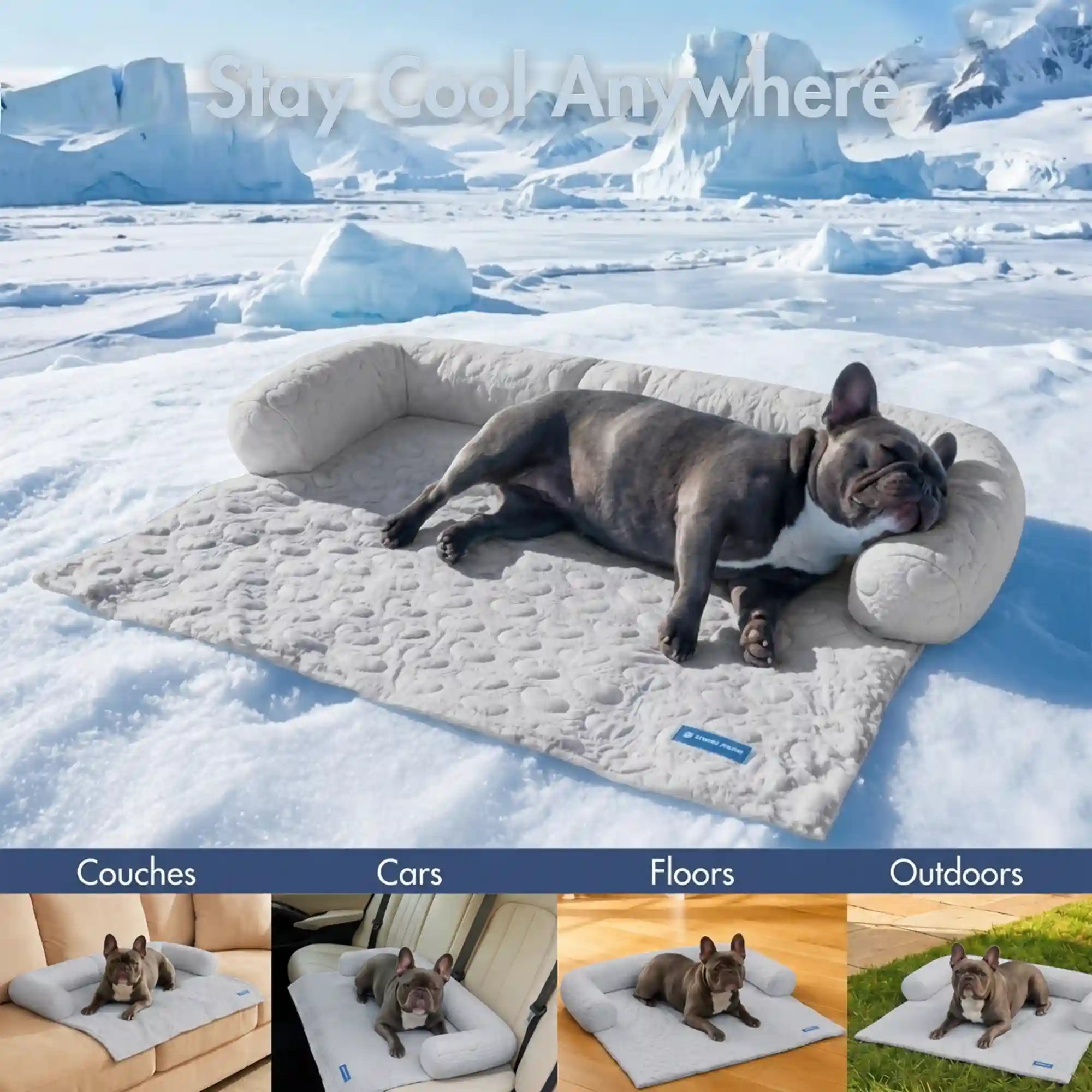 sparkpawsmaut.com