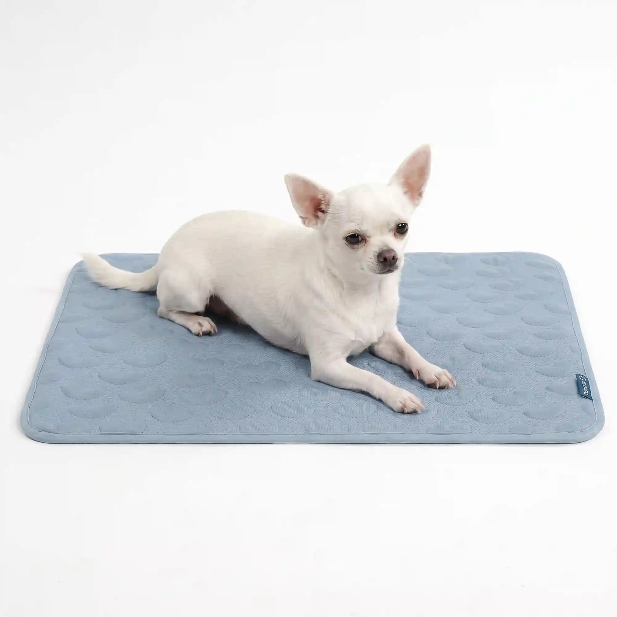 sparkpawsmaut.com