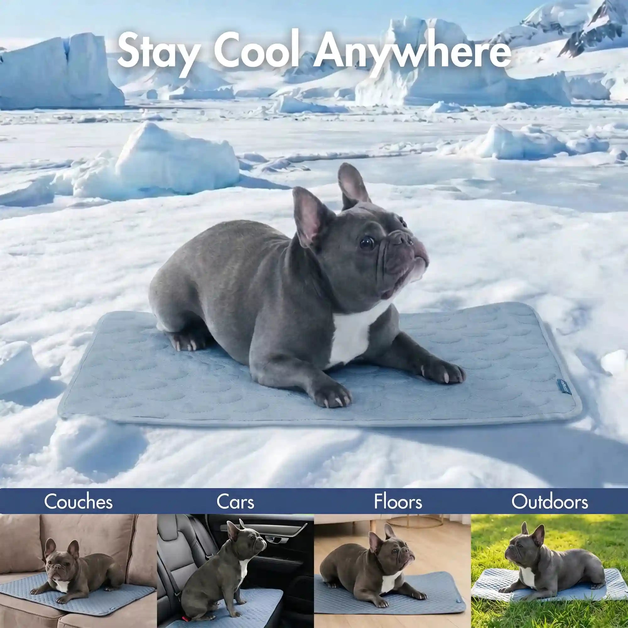 sparkpawsmaut.com
