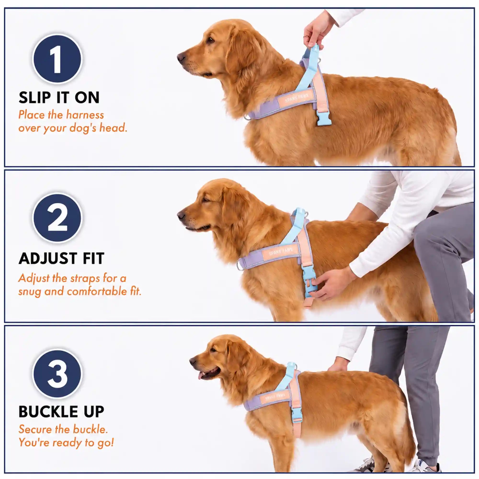 sparkpawsmaut.com