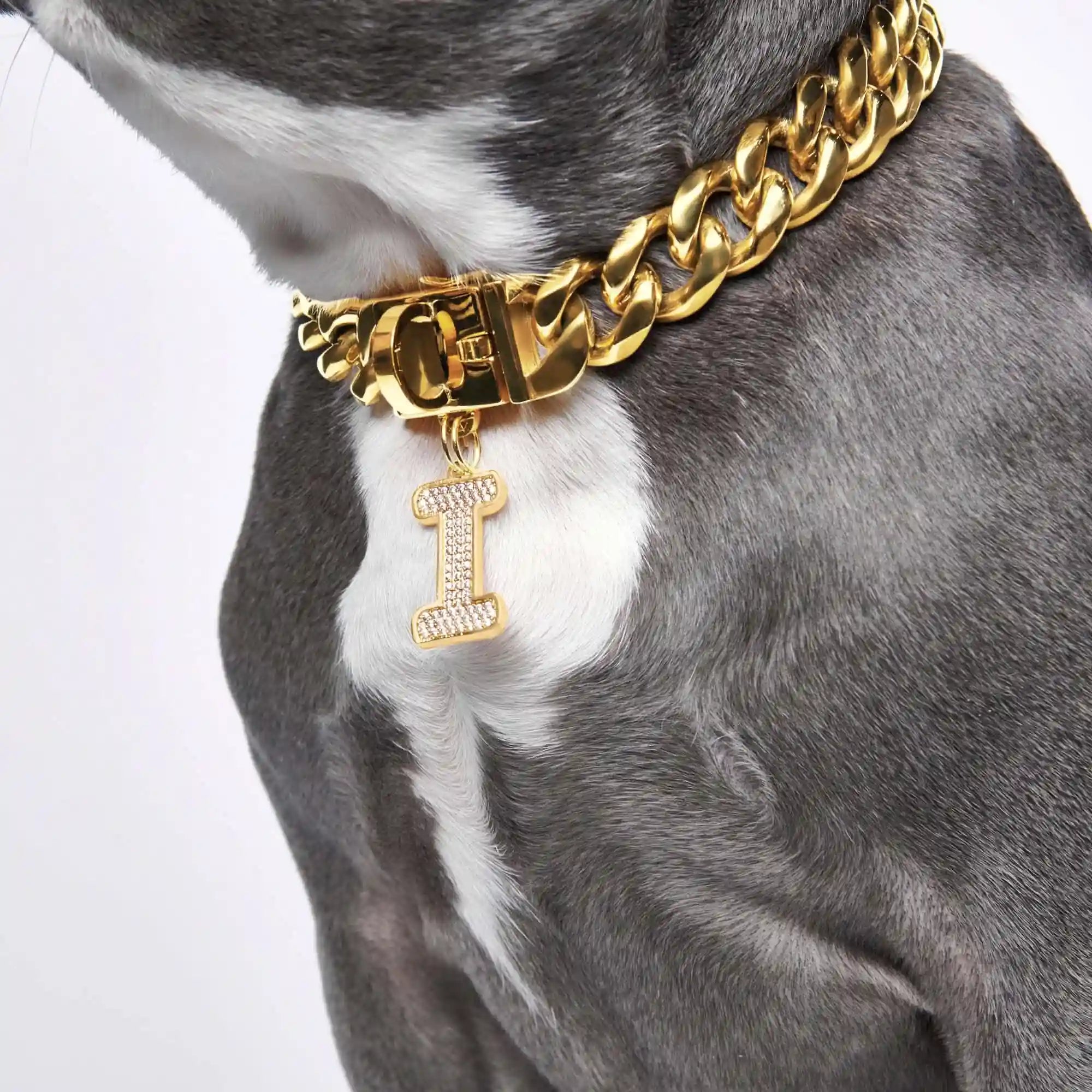 sparkpawsmaut.com