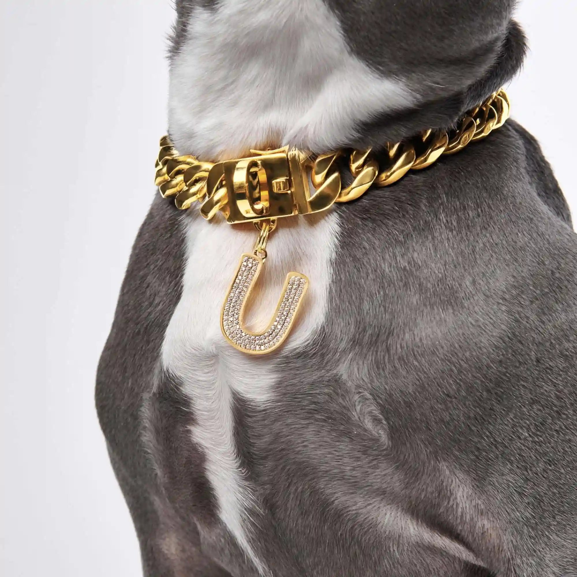 sparkpawsmaut.com
