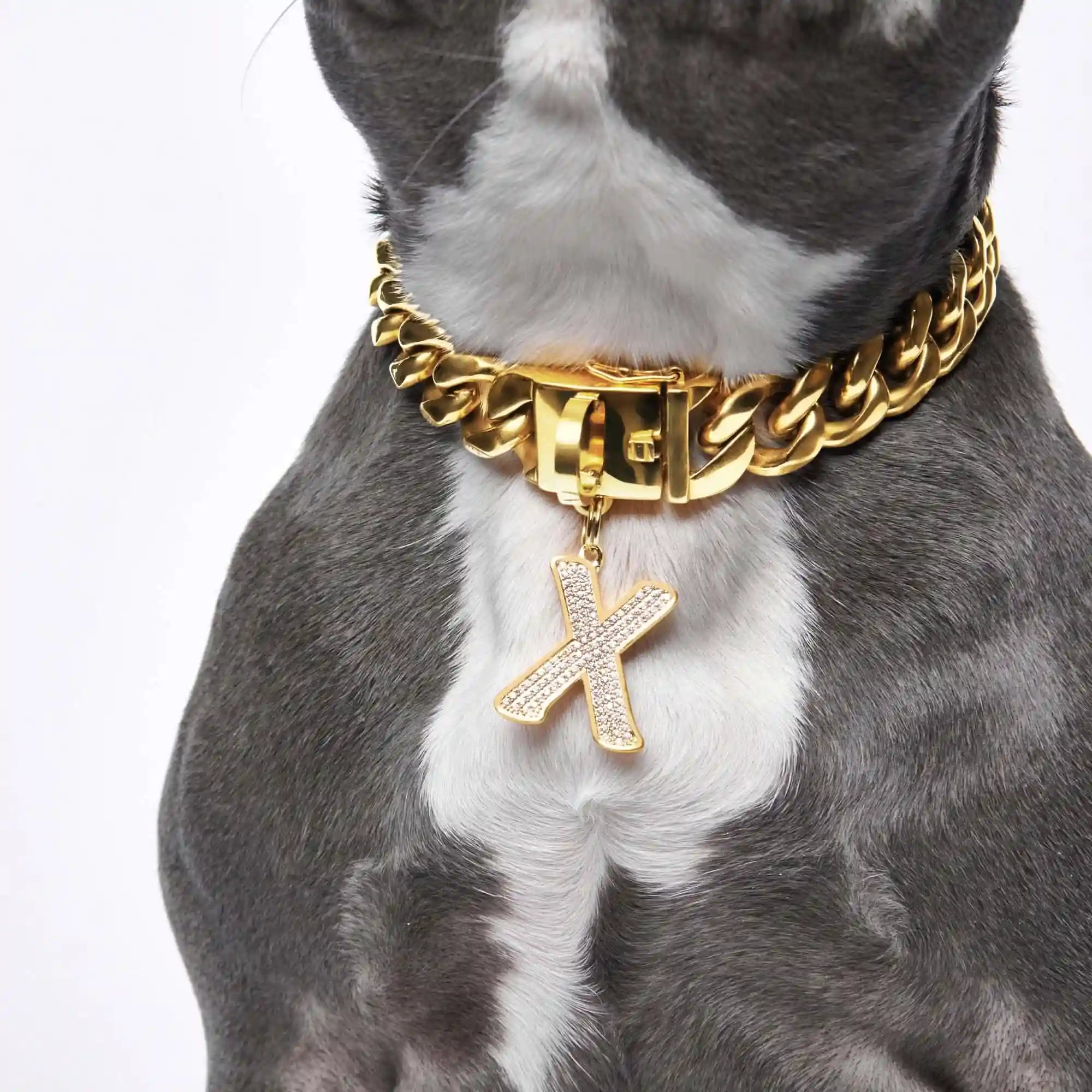 sparkpawsmaut.com