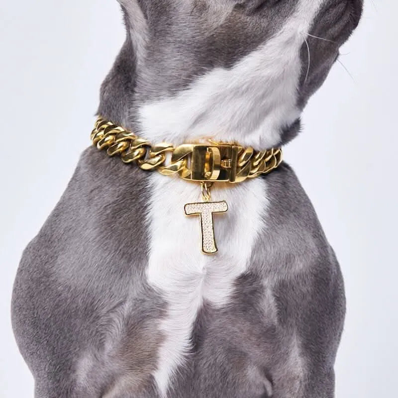 sparkpawsmaut.com