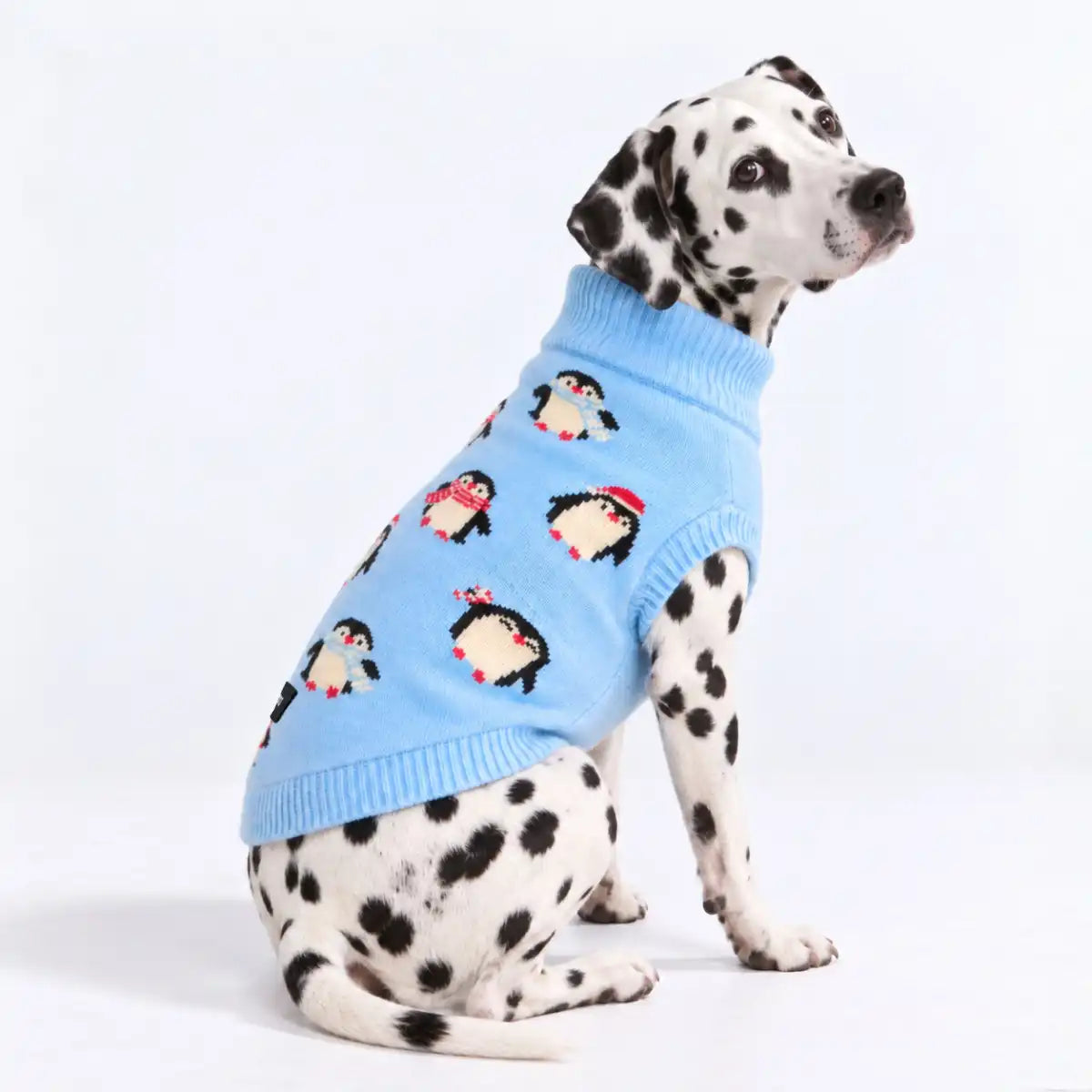 sparkpawsmaut.com