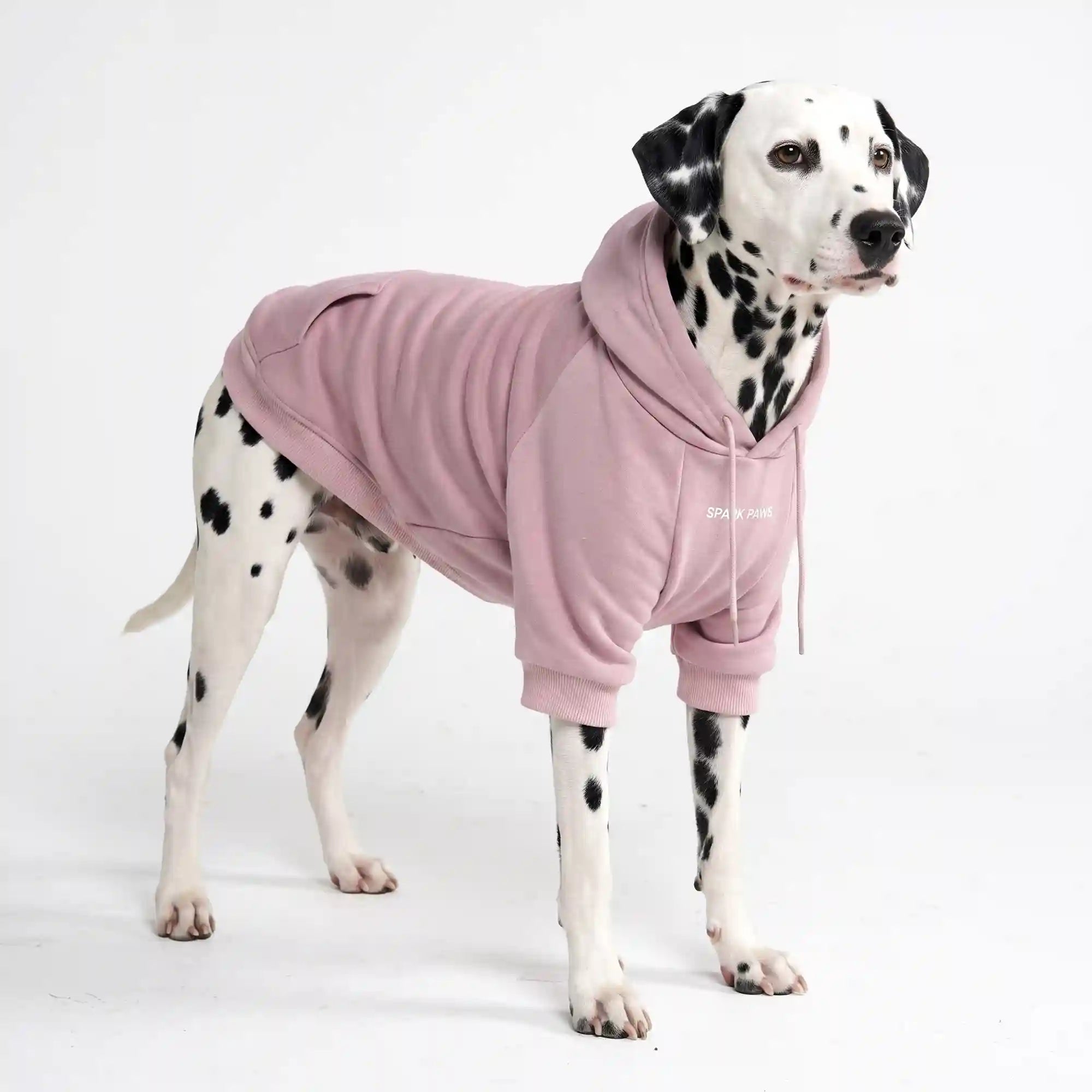 sparkpawsmaut.com