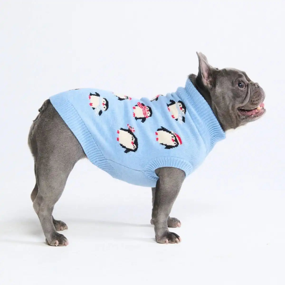 sparkpawsmaut.com