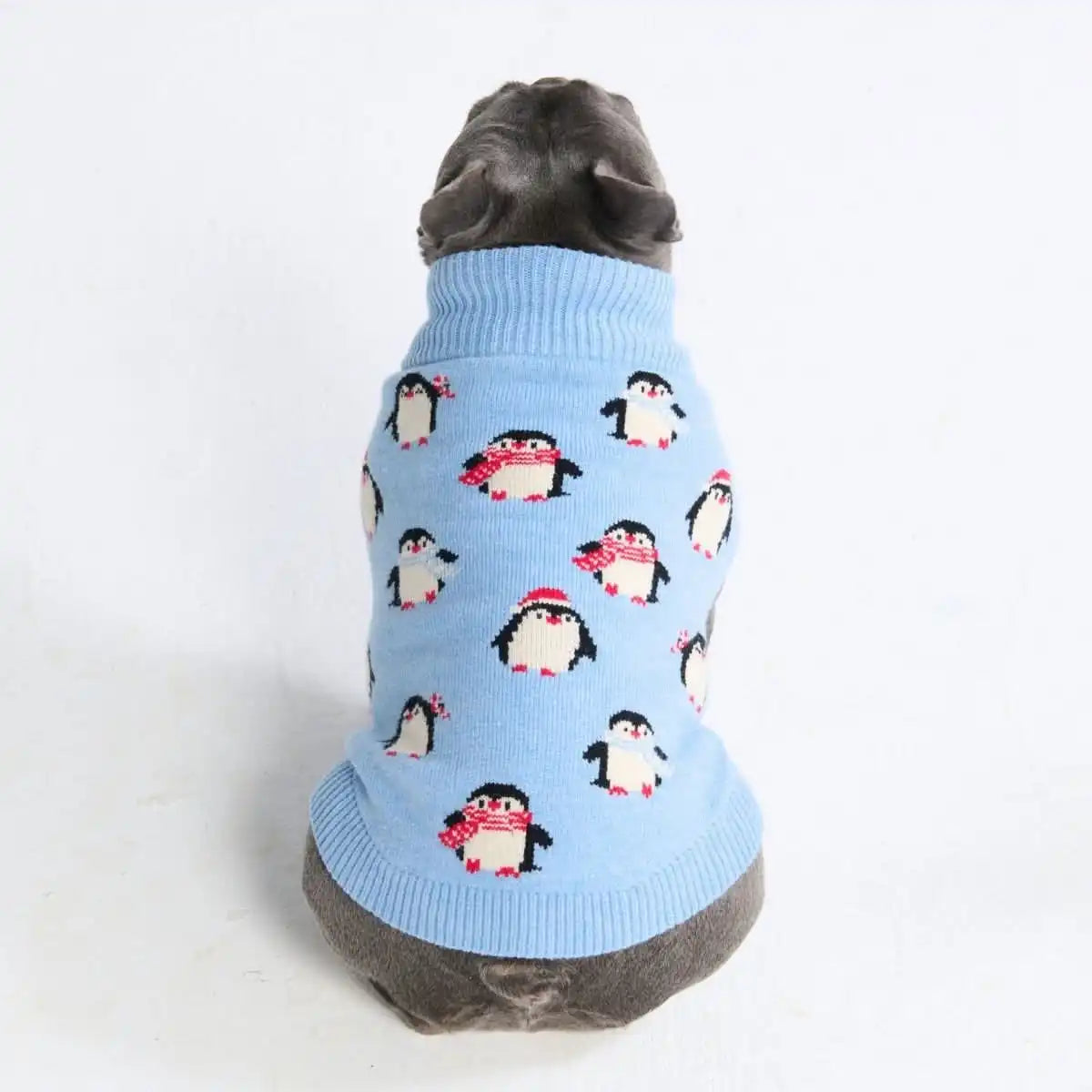 sparkpawsmaut.com