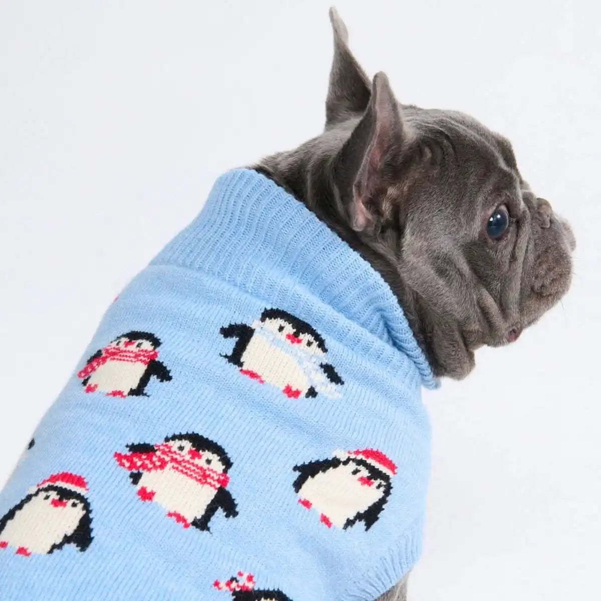 sparkpawsmaut.com