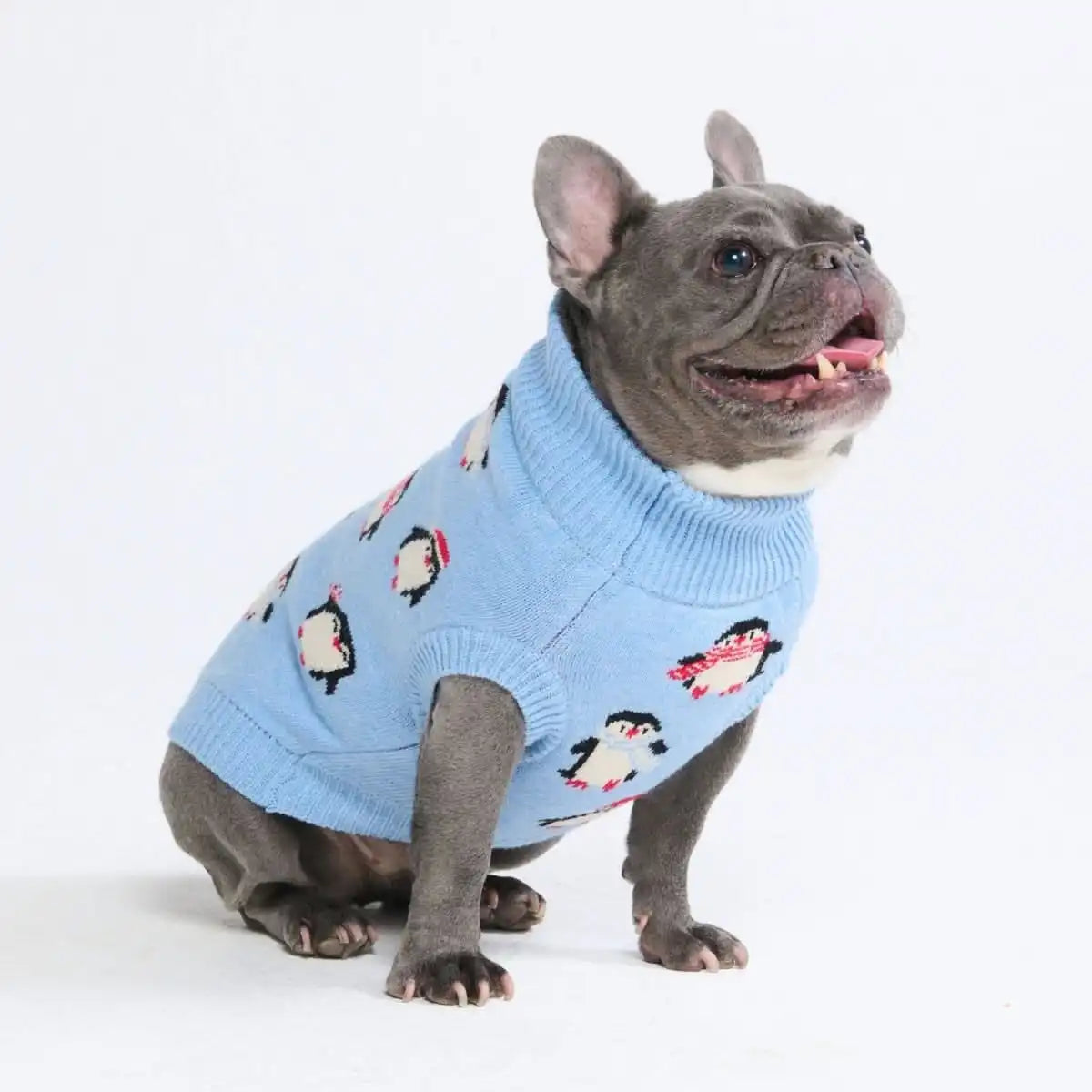 sparkpawsmaut.com
