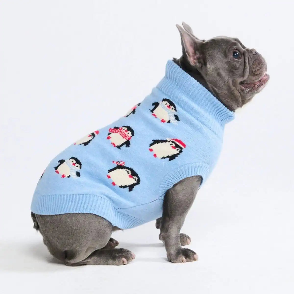 sparkpawsmaut.com