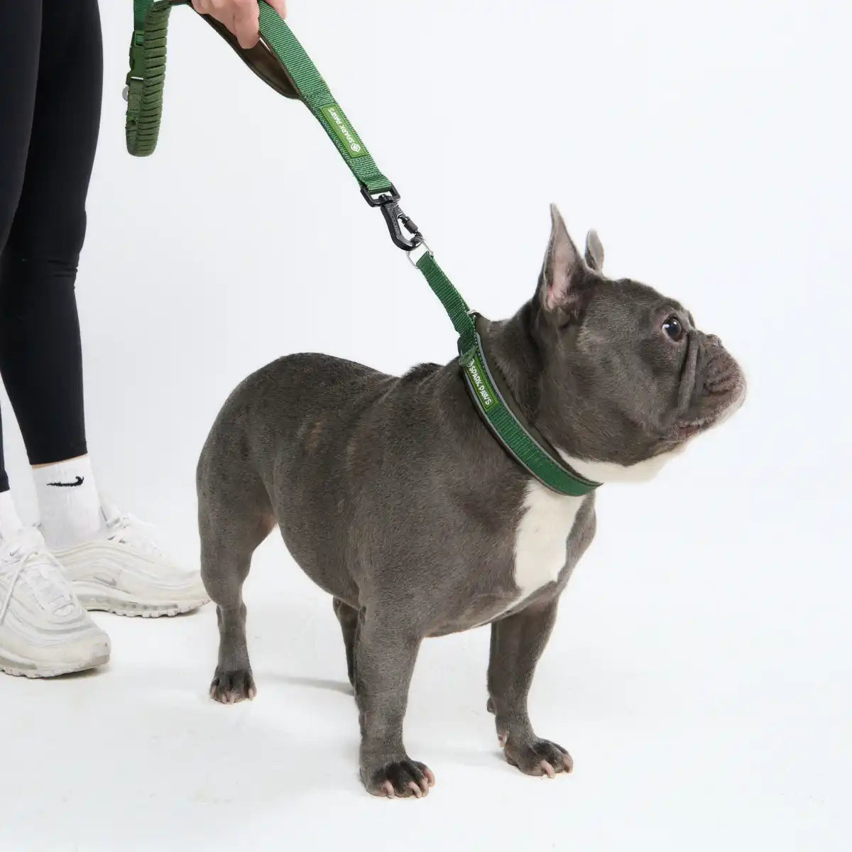 sparkpawsmaut.com