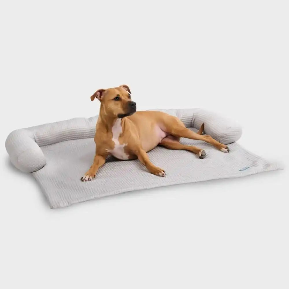 sparkpawsmaut.com