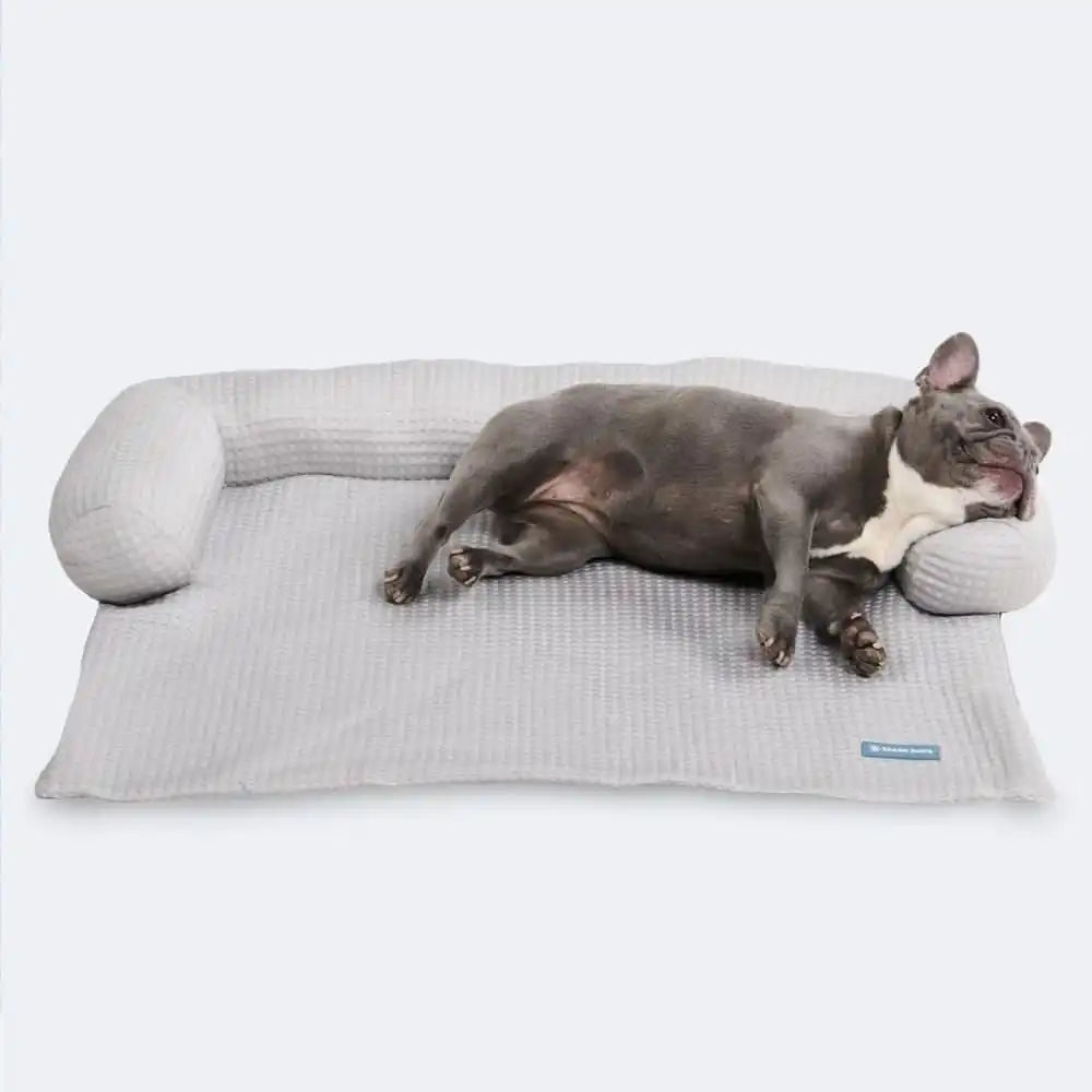 sparkpawsmaut.com