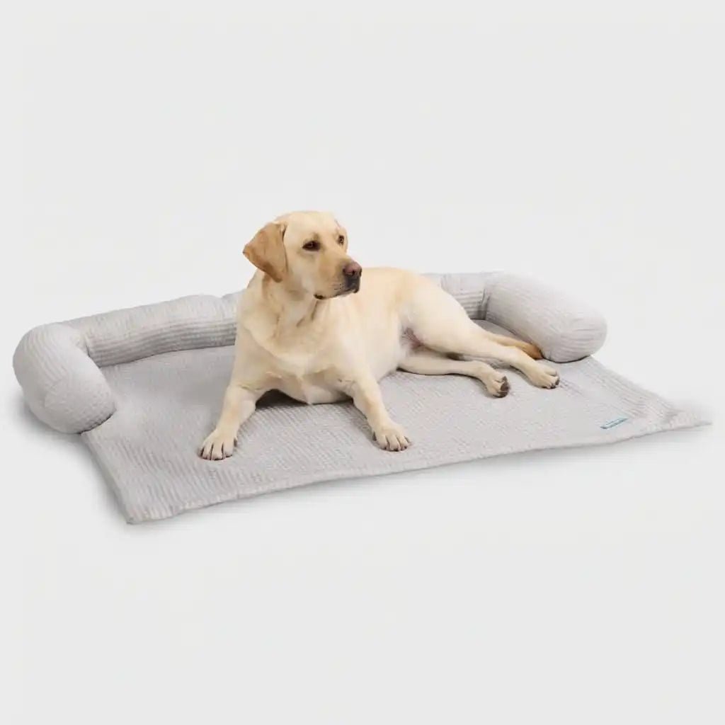 sparkpawsmaut.com