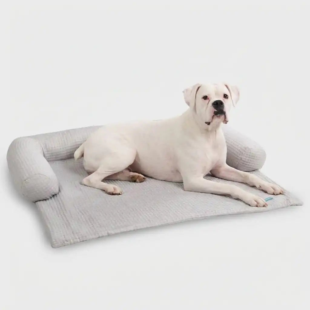 sparkpawsmaut.com