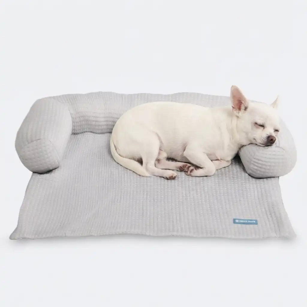 sparkpawsmaut.com