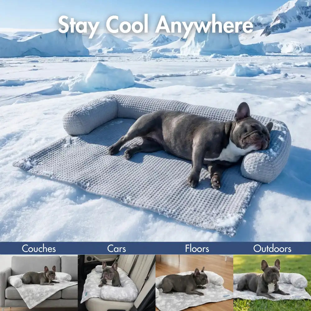 sparkpawsmaut.com