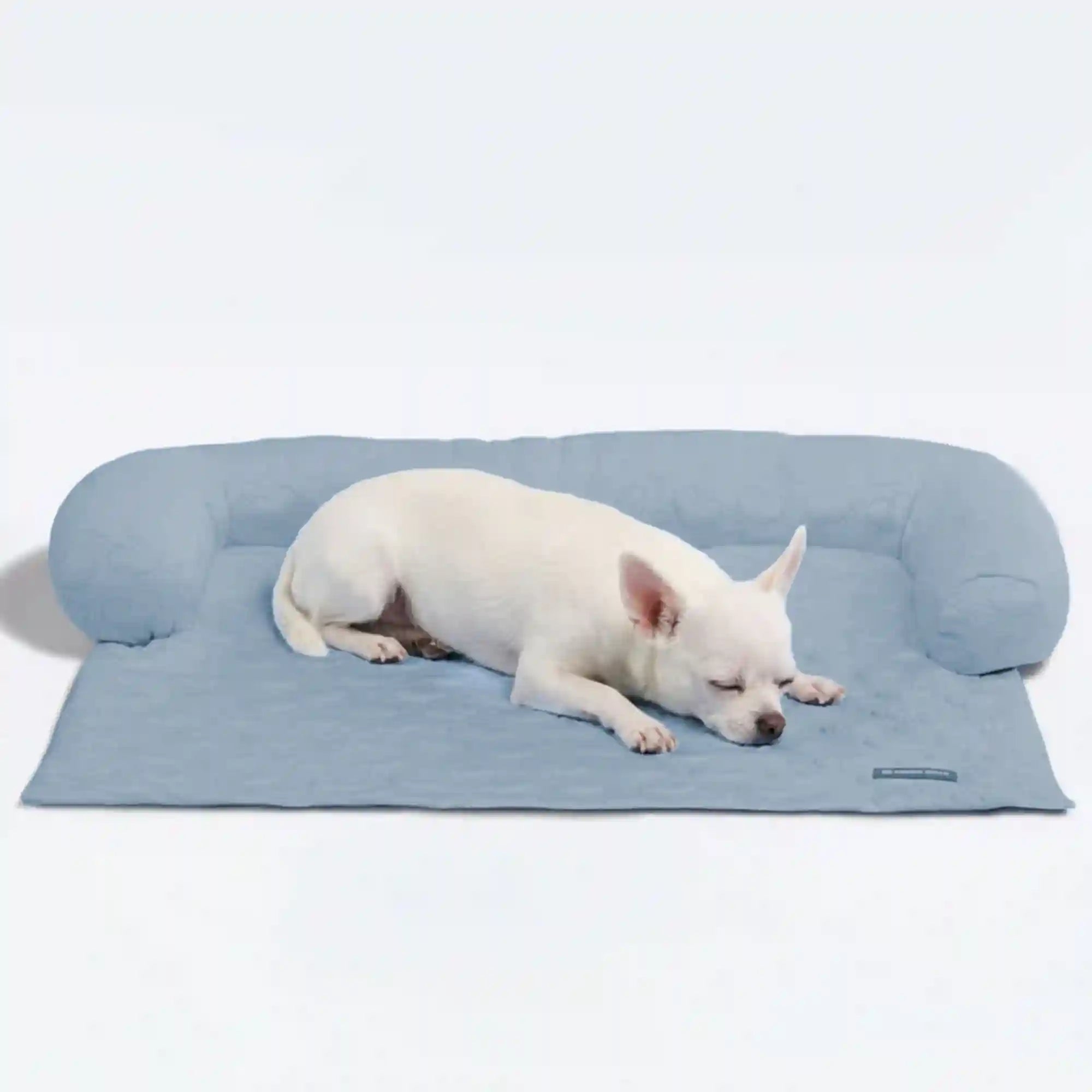 sparkpawsmaut.com