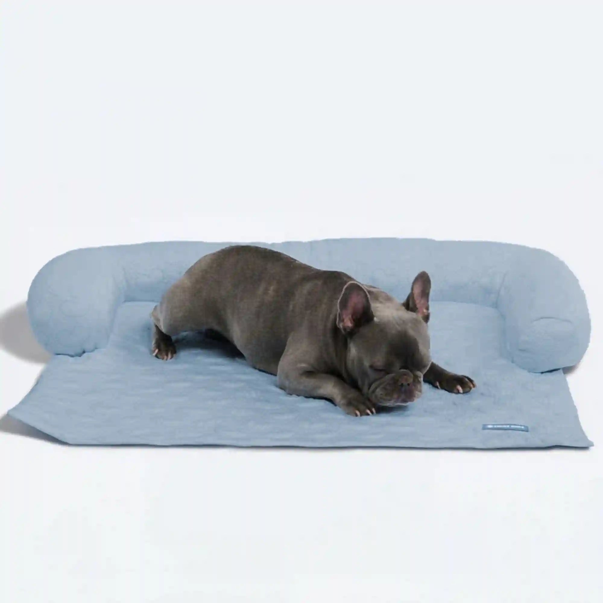 sparkpawsmaut.com