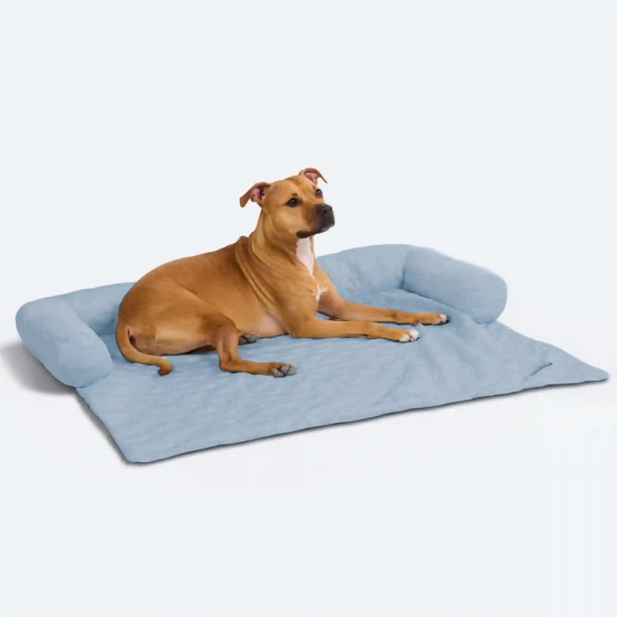 sparkpawsmaut.com