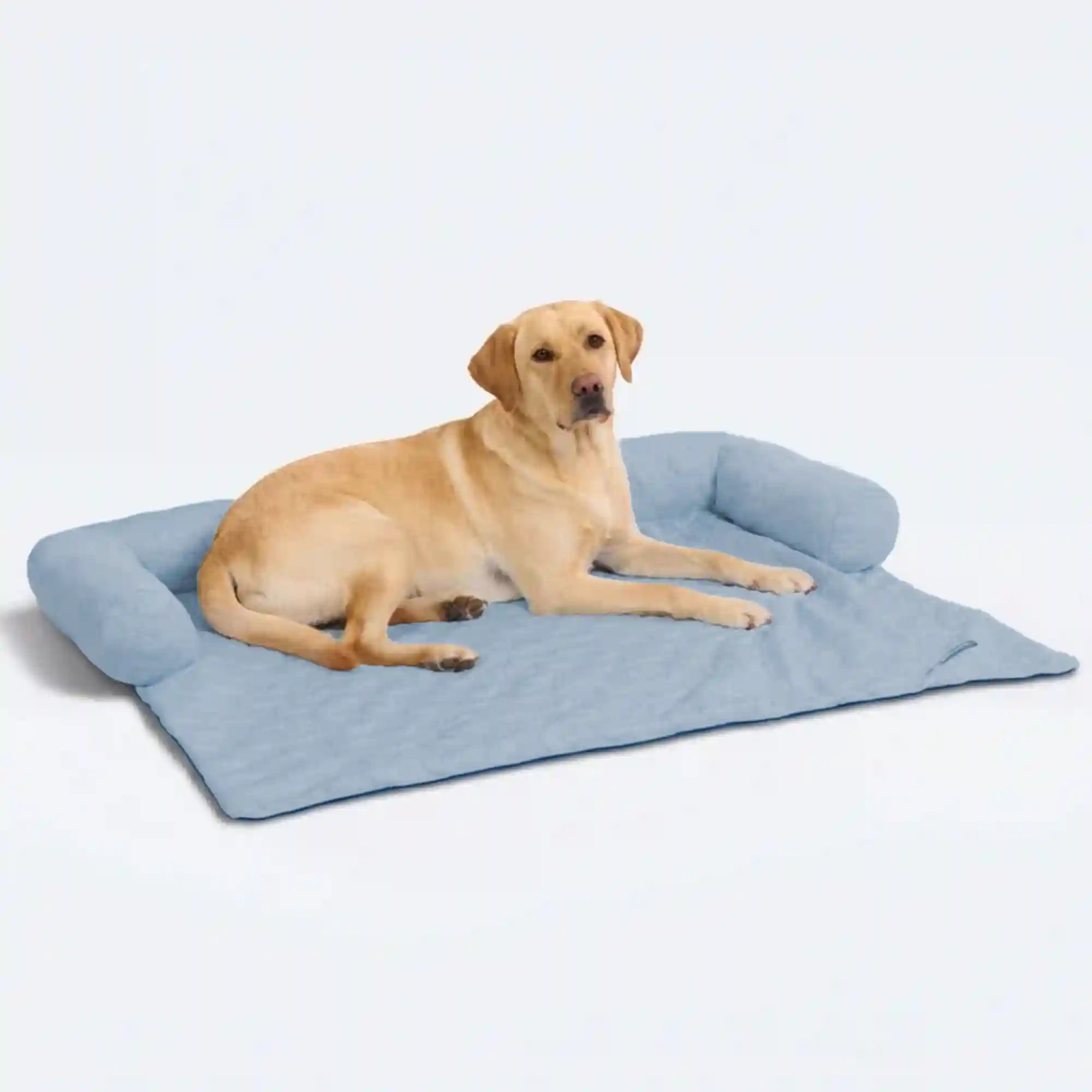 sparkpawsmaut.com