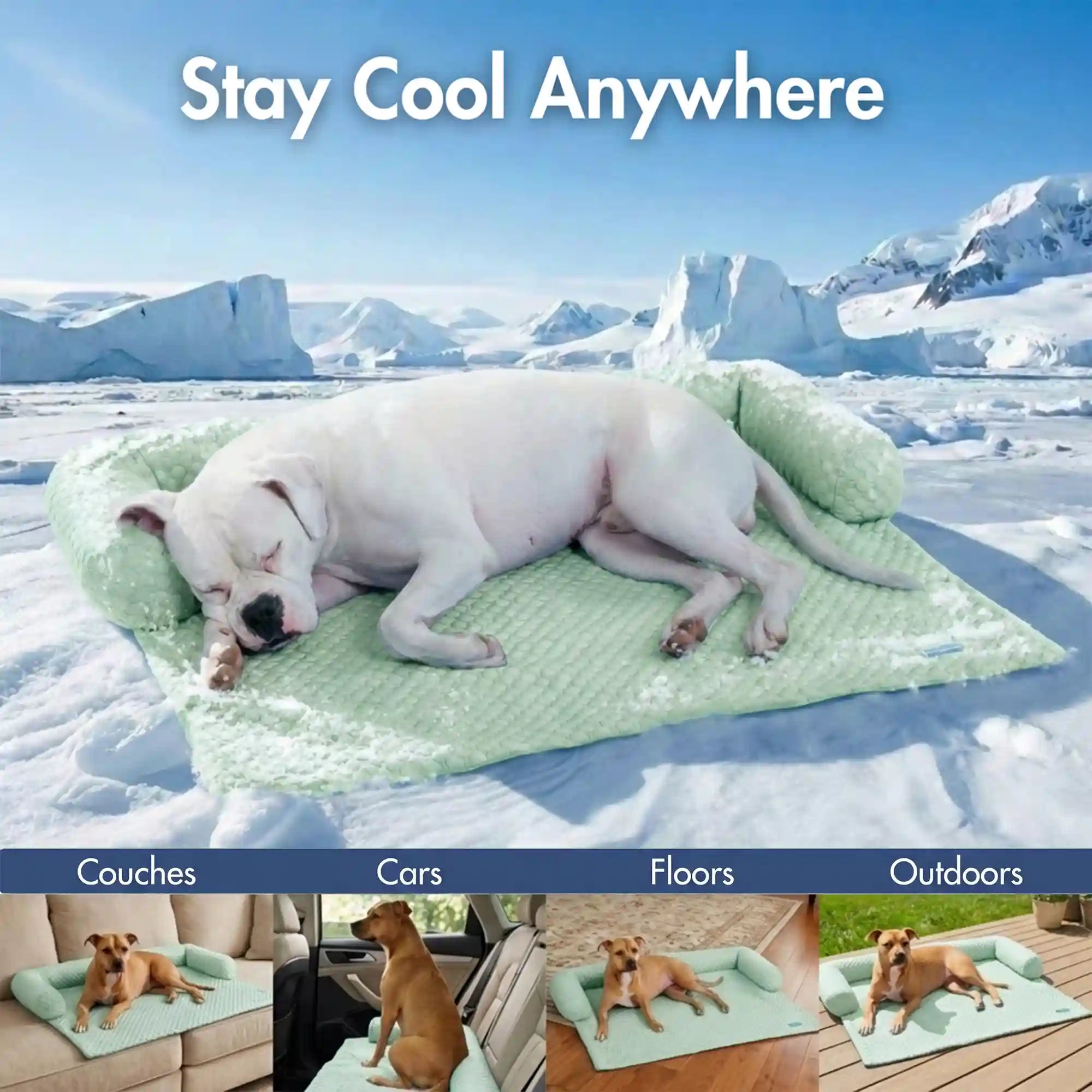 sparkpawsmaut.com