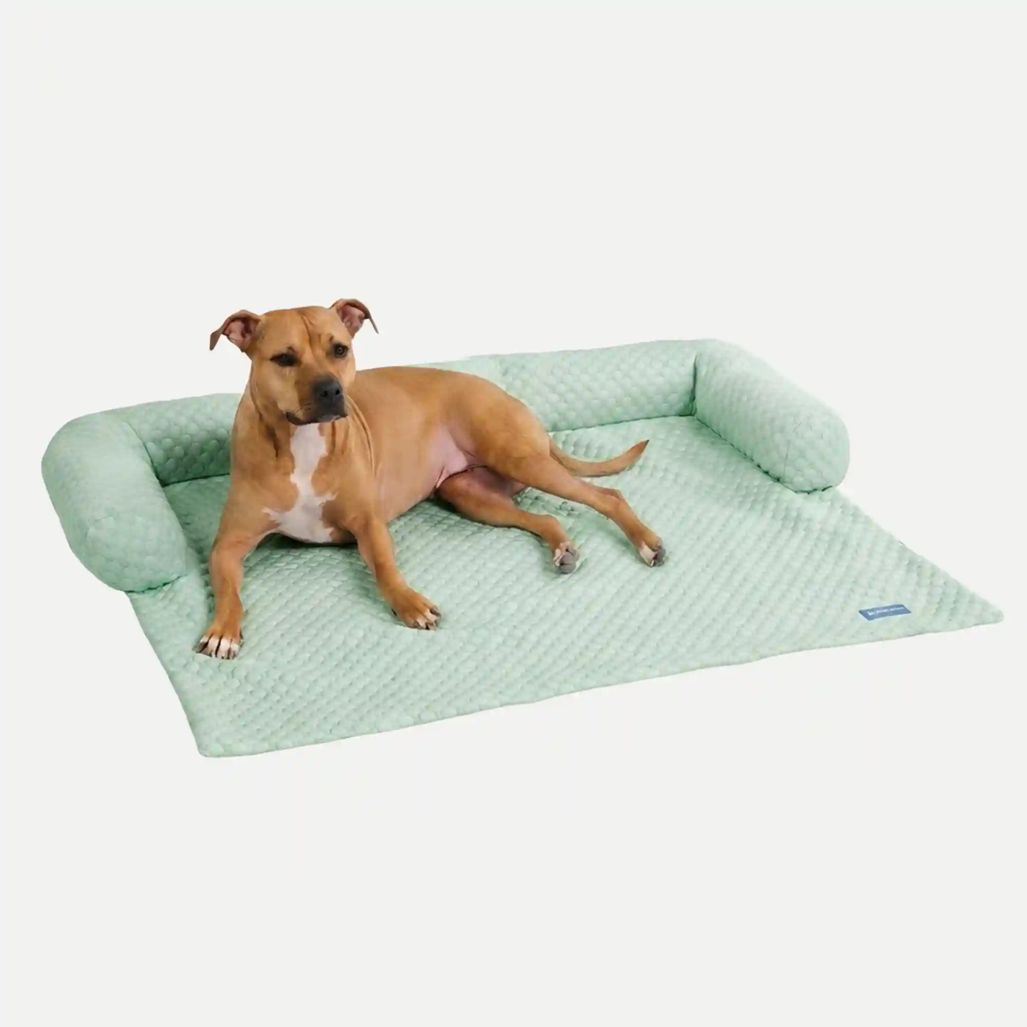 sparkpawsmaut.com
