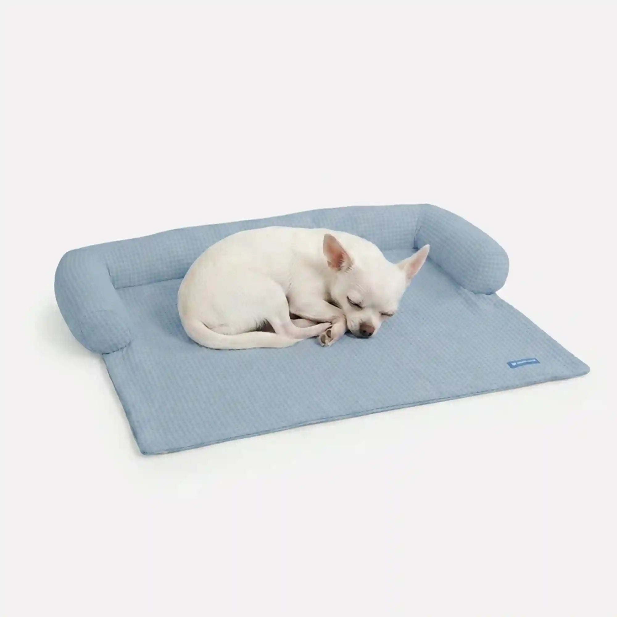 sparkpawsmaut.com
