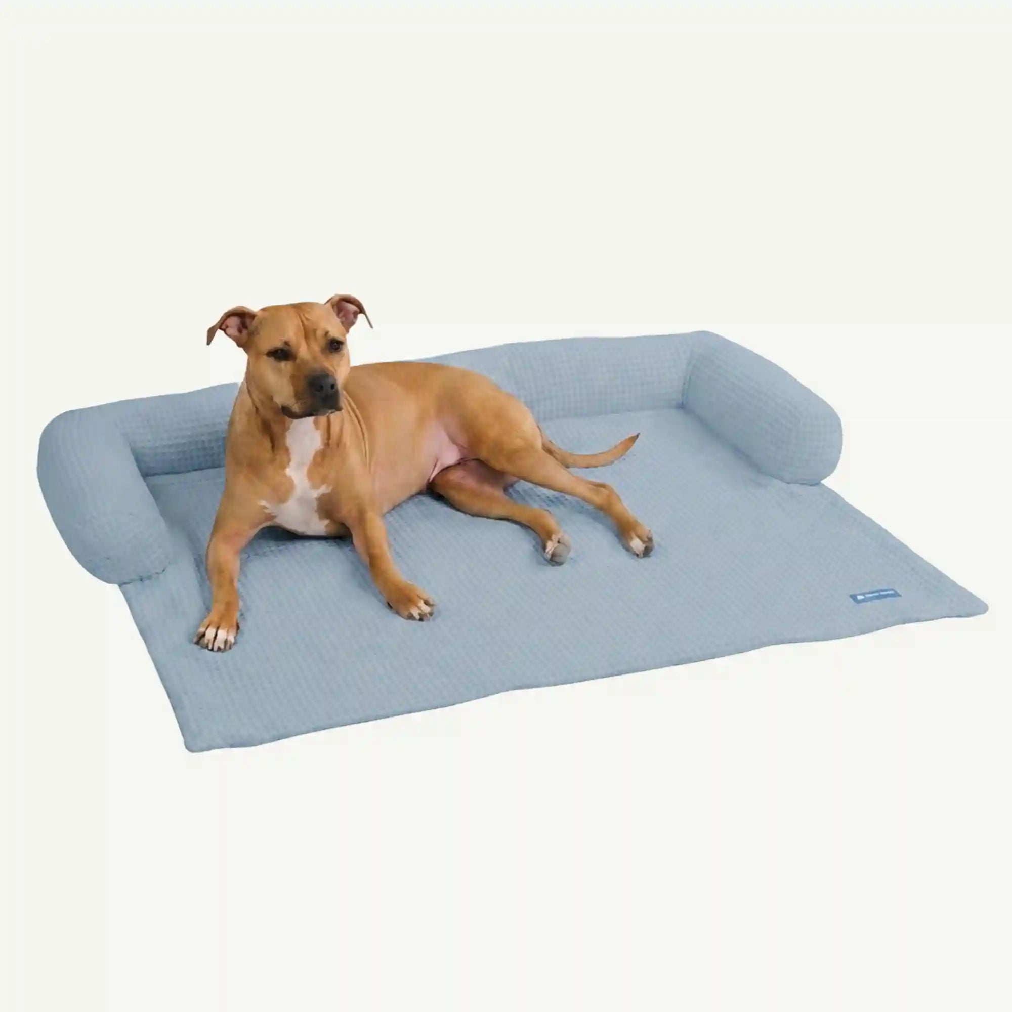 sparkpawsmaut.com