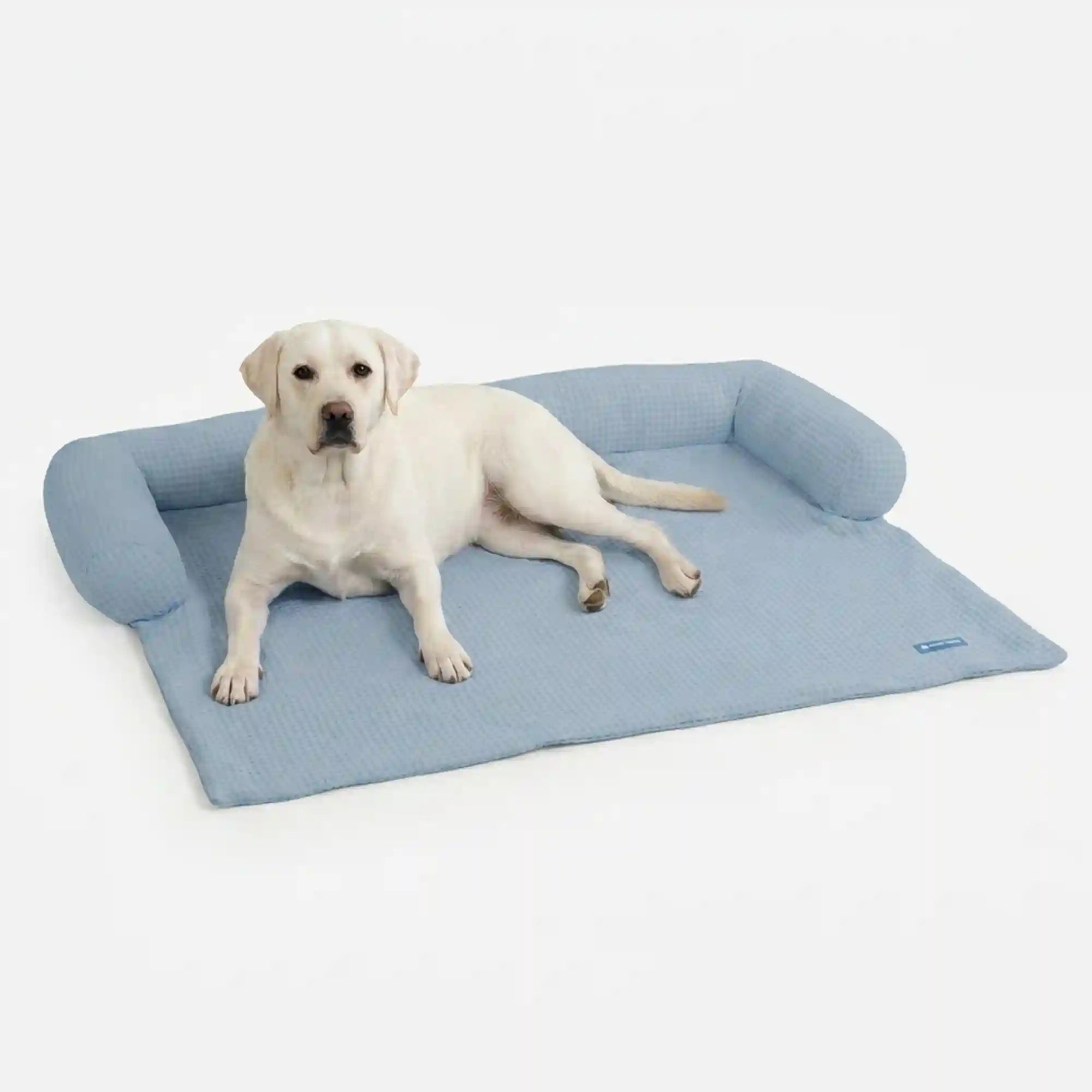 sparkpawsmaut.com