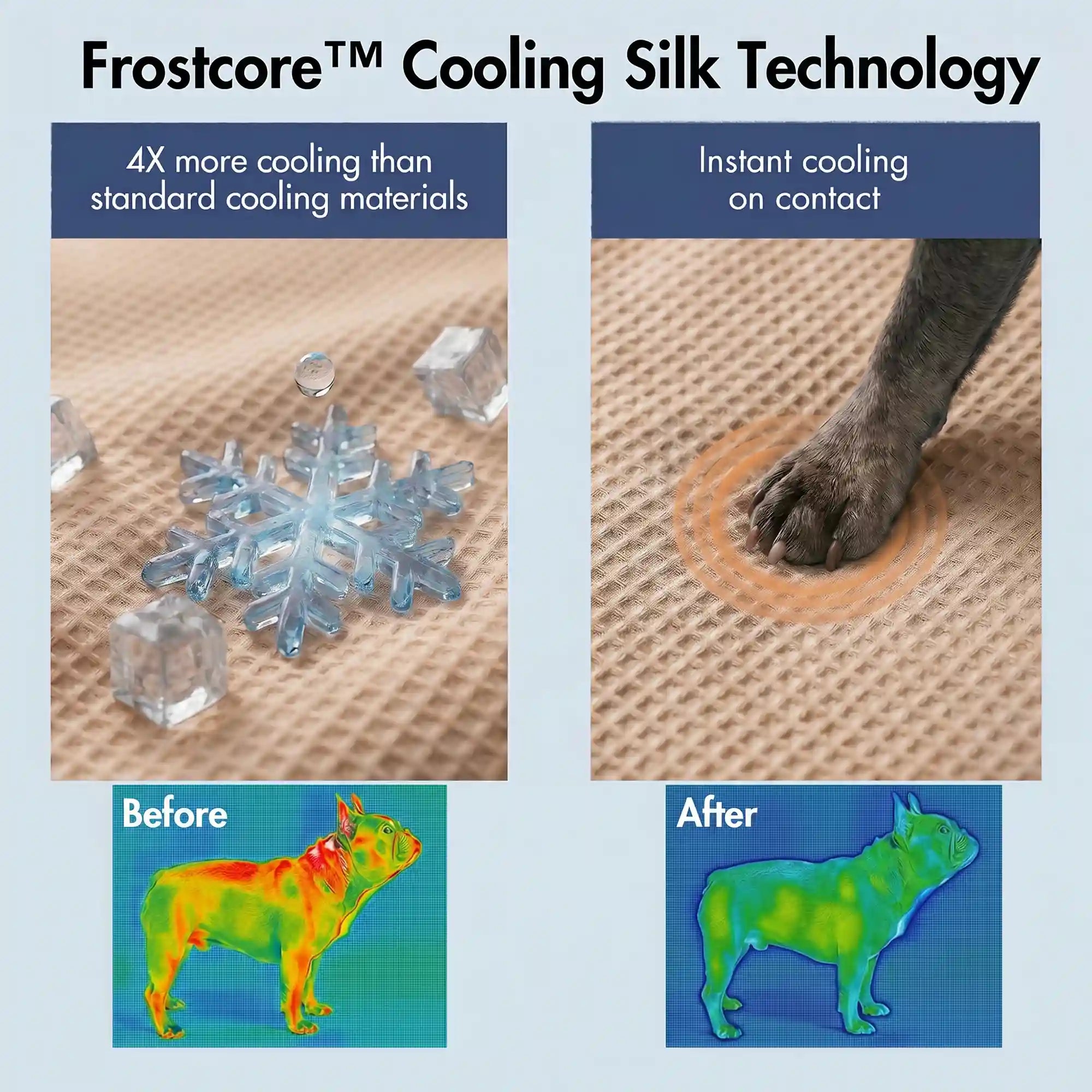 sparkpawsmaut.com