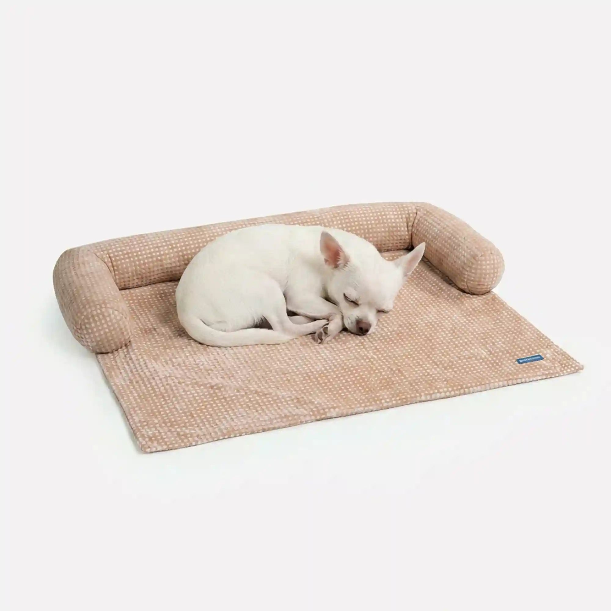 sparkpawsmaut.com