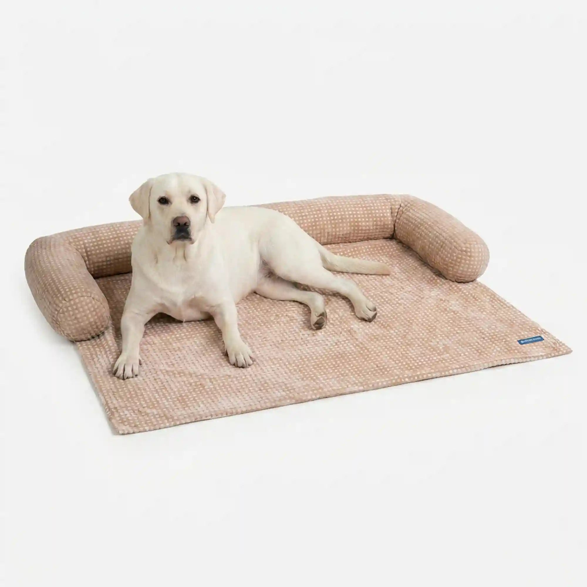 sparkpawsmaut.com