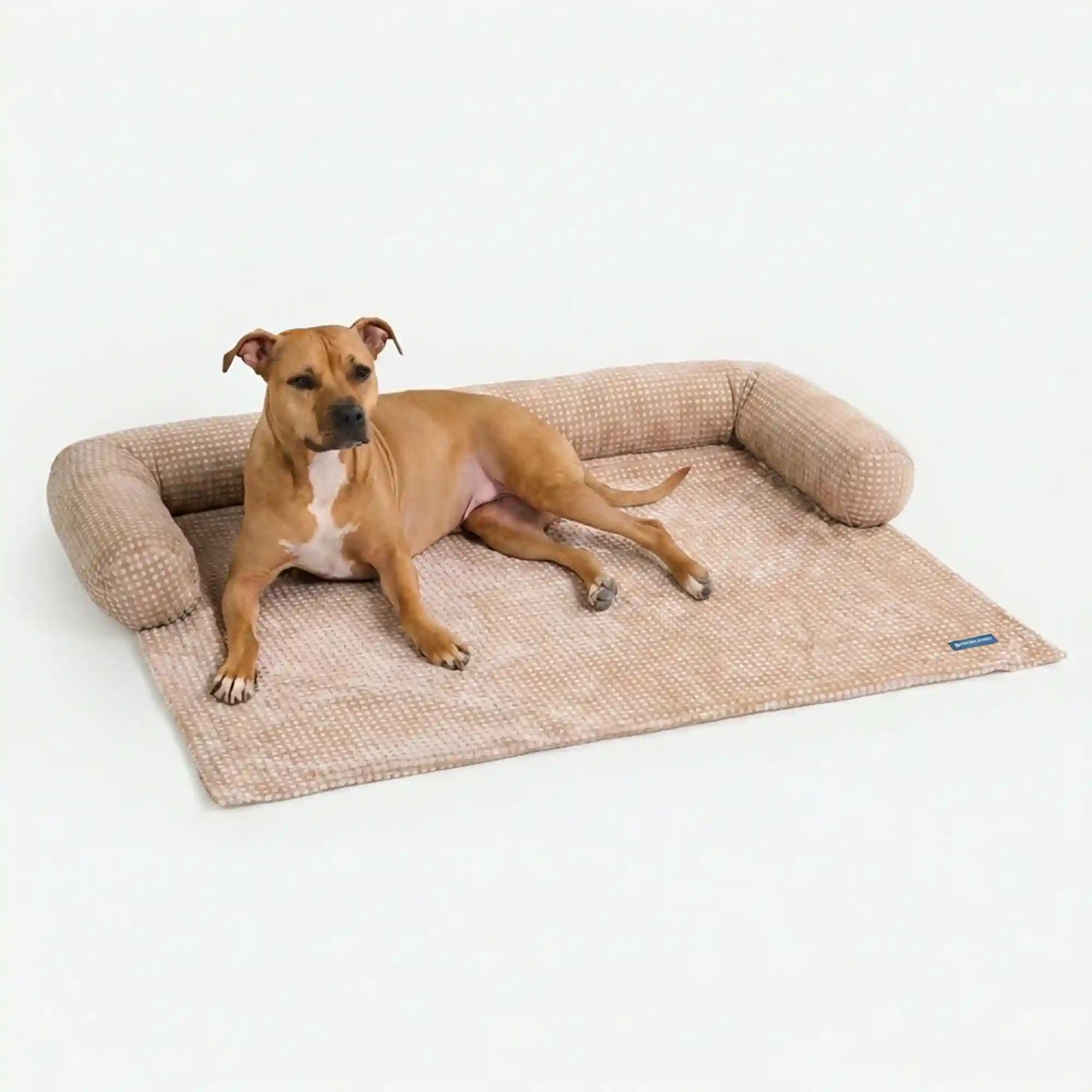 sparkpawsmaut.com